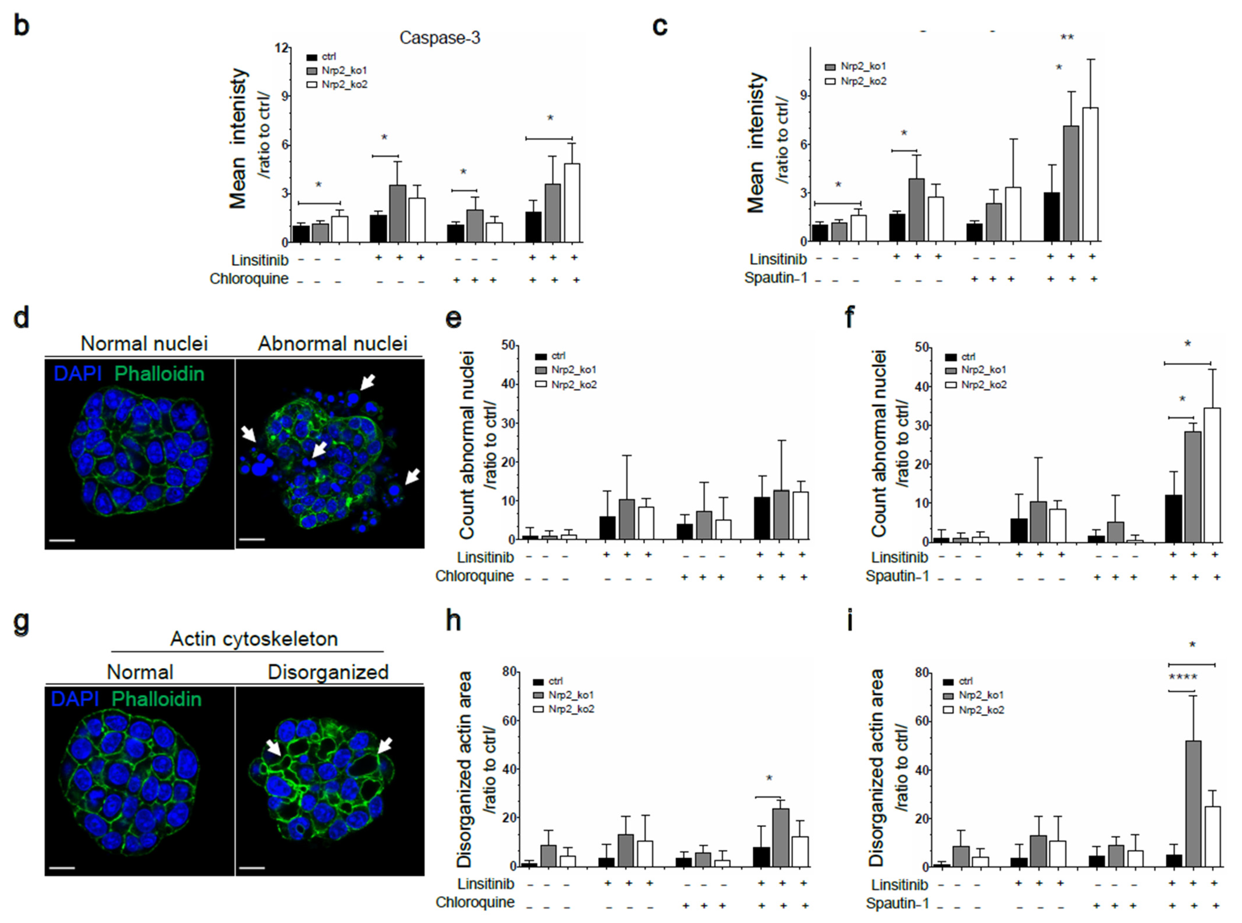 Cancers 14 00671 g006b 550