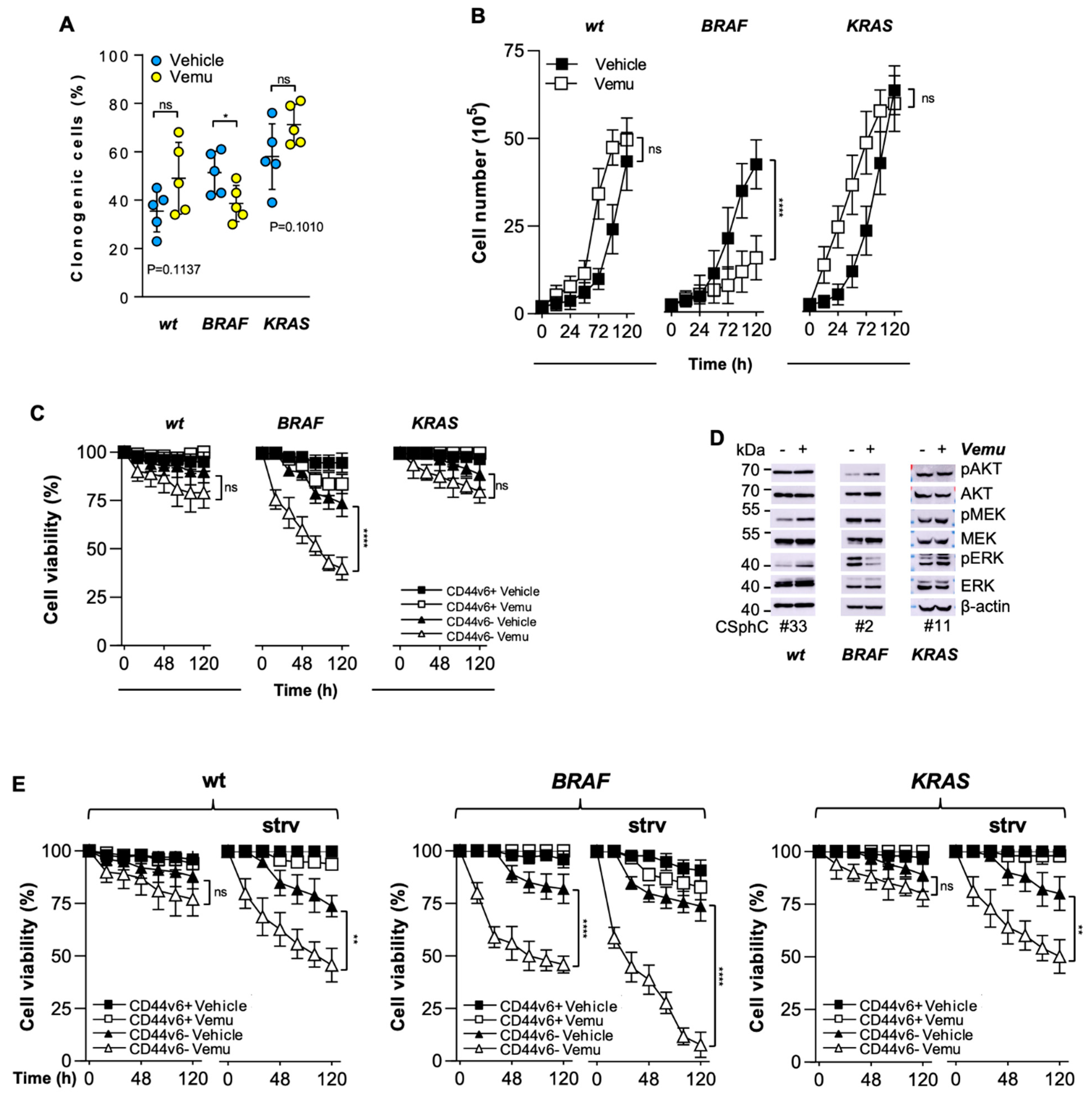 Cancers 14 00673 g001