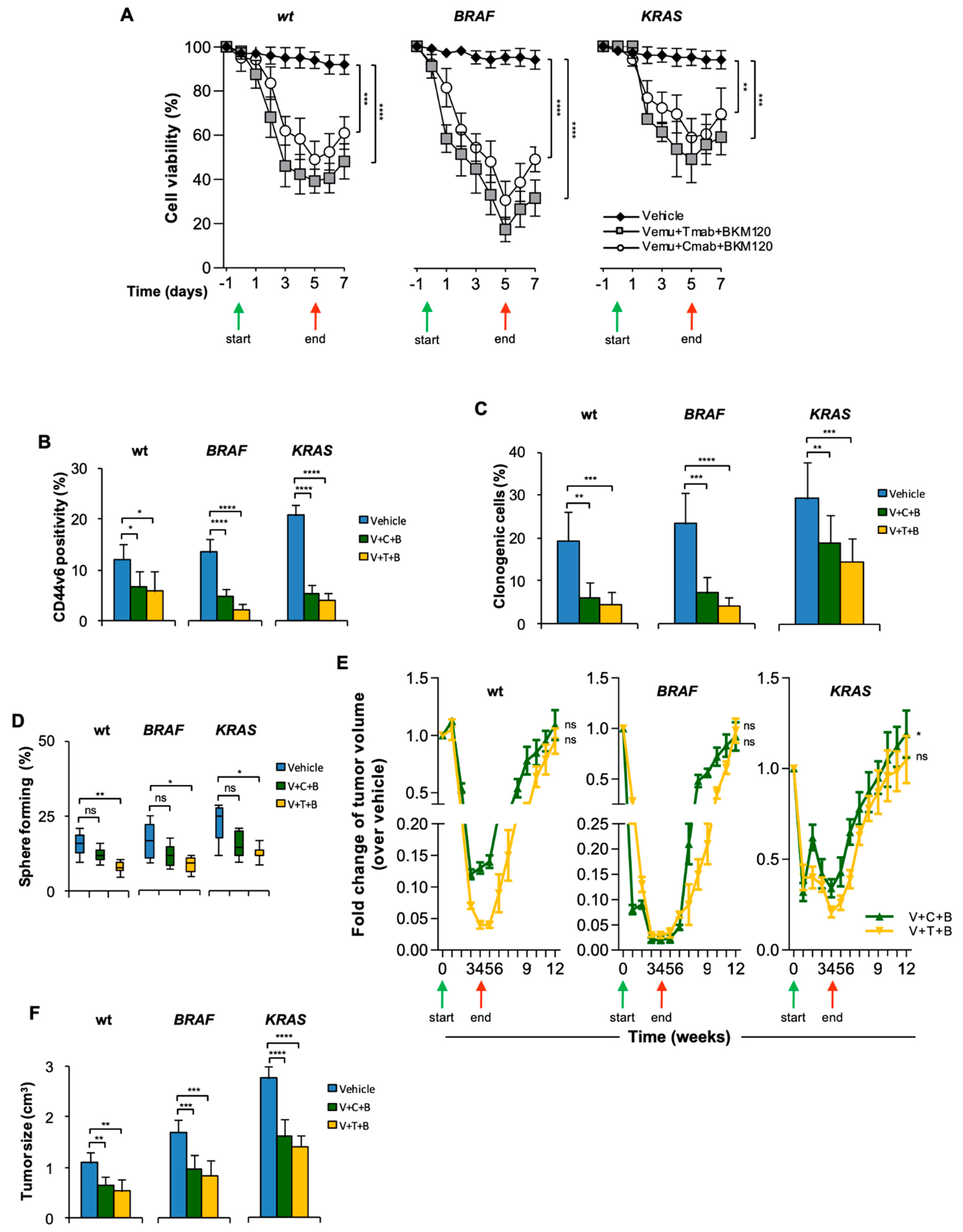 Cancers 14 00673 g003