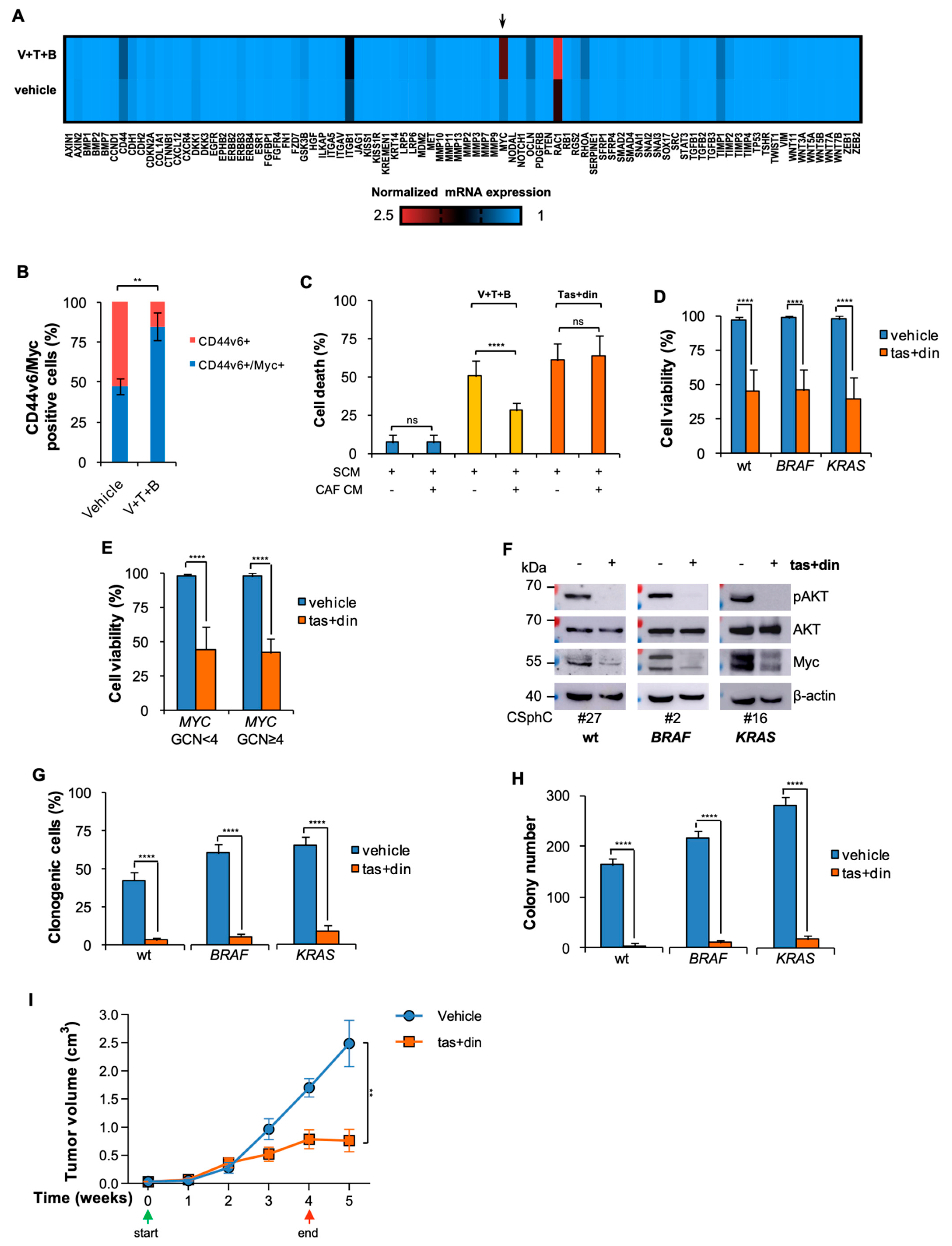 Cancers 14 00673 g004