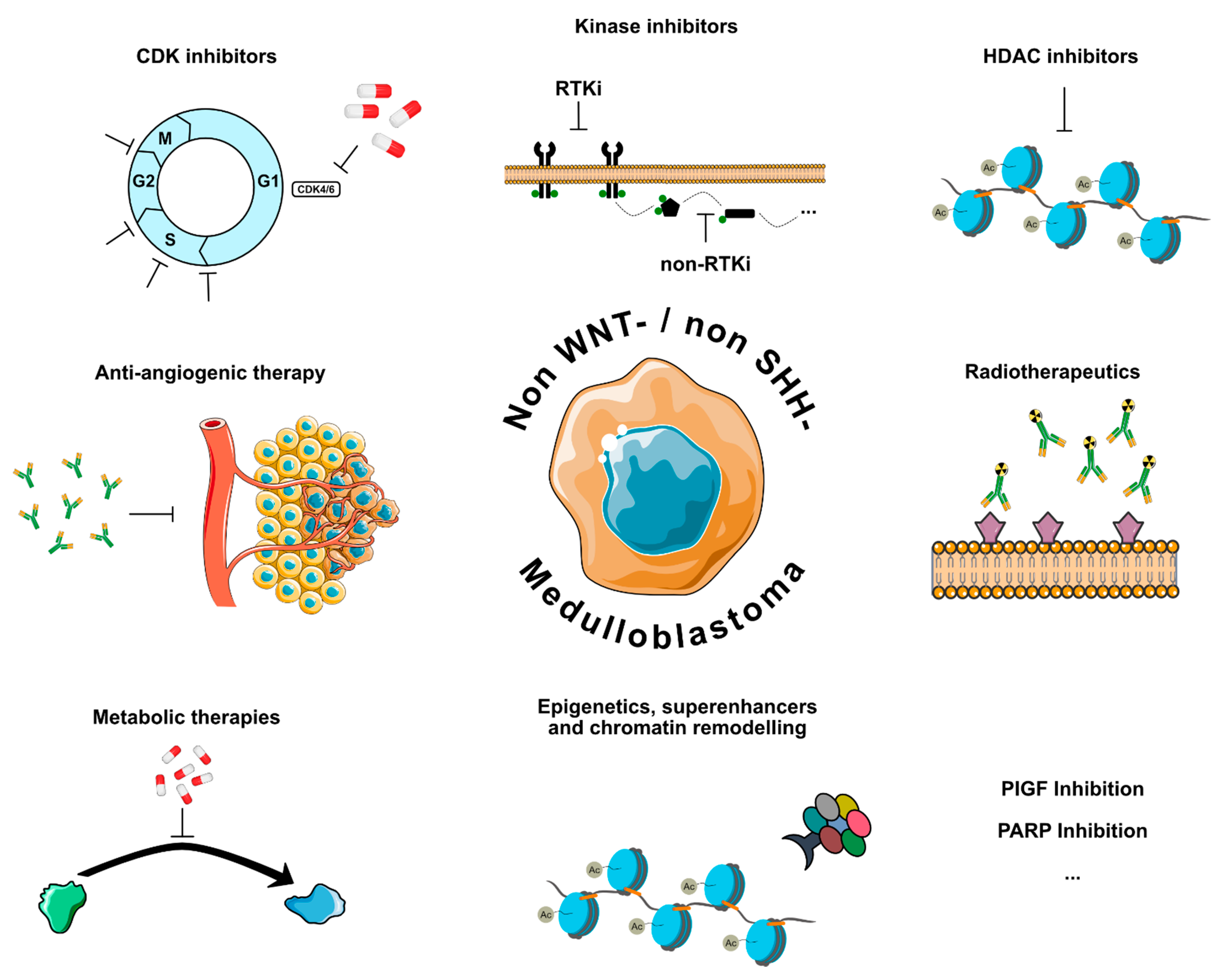 Cancers 14 00679 g001 550