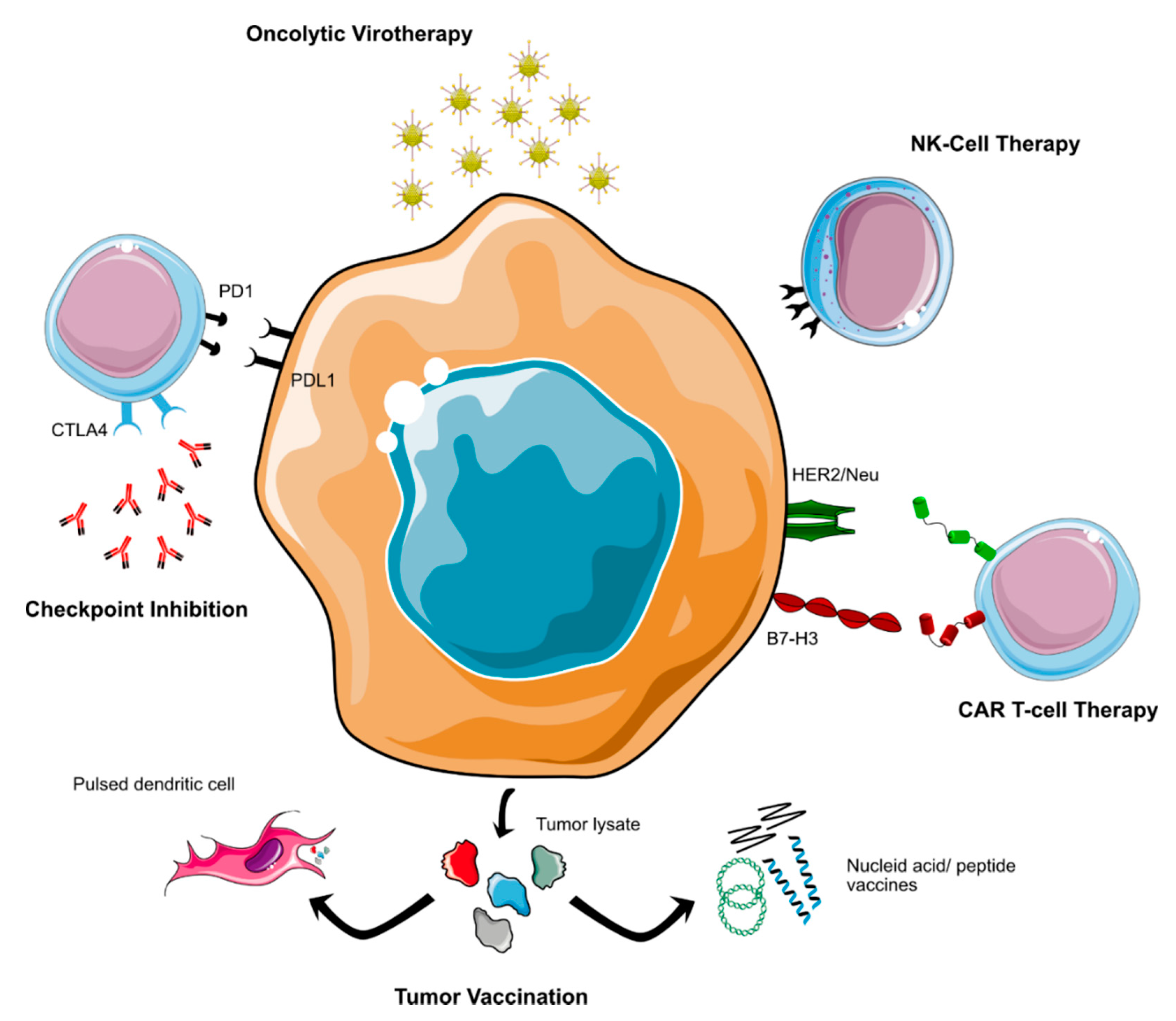 Cancers 14 00679 g002 550