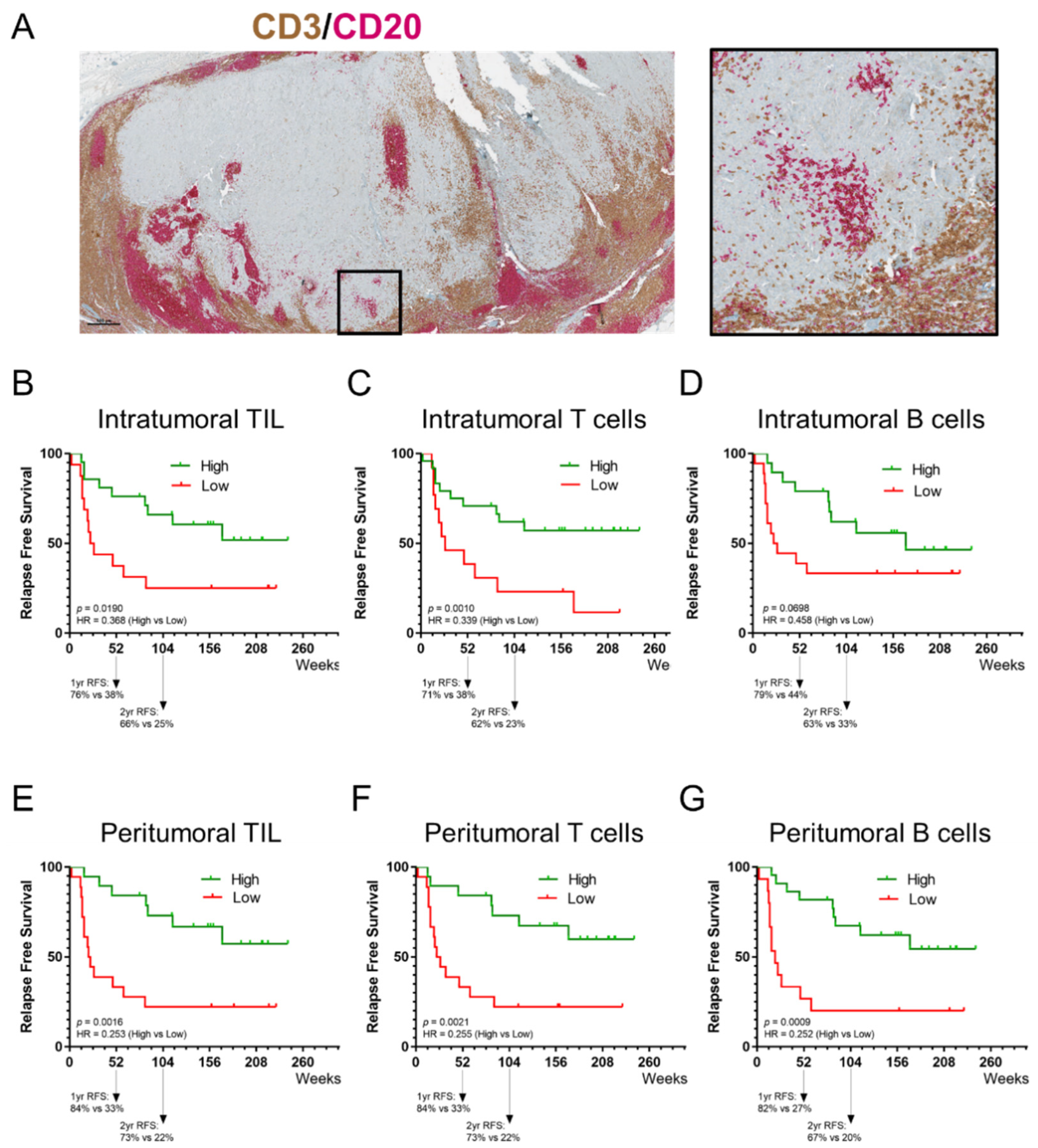 Cancers 14 00682 g003 550