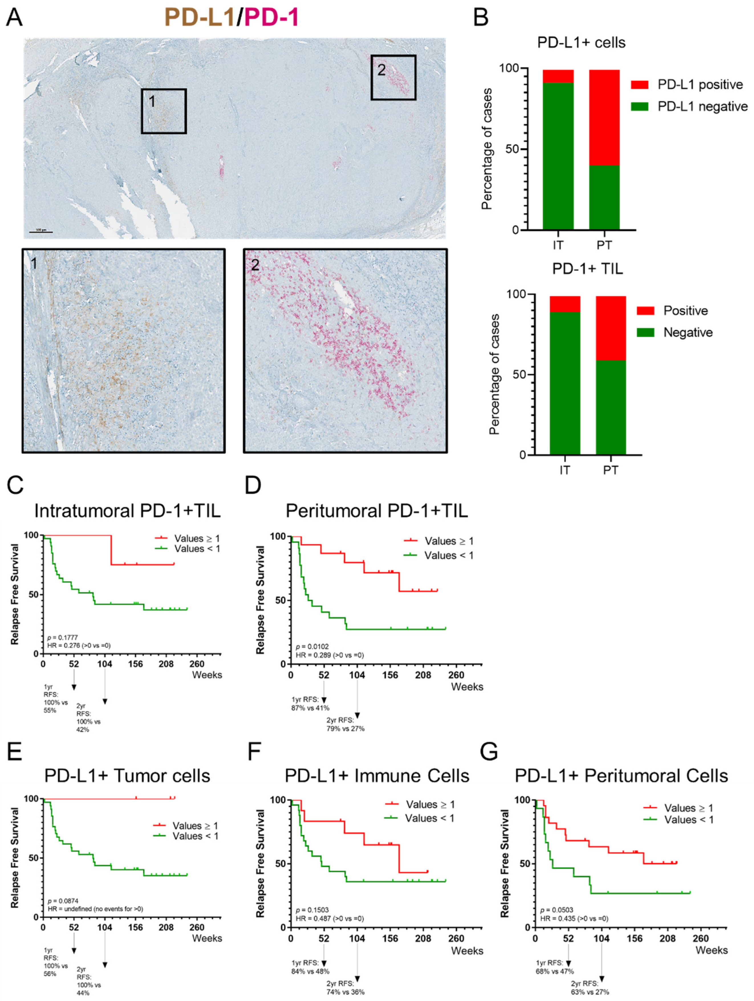Cancers 14 00682 g004 550