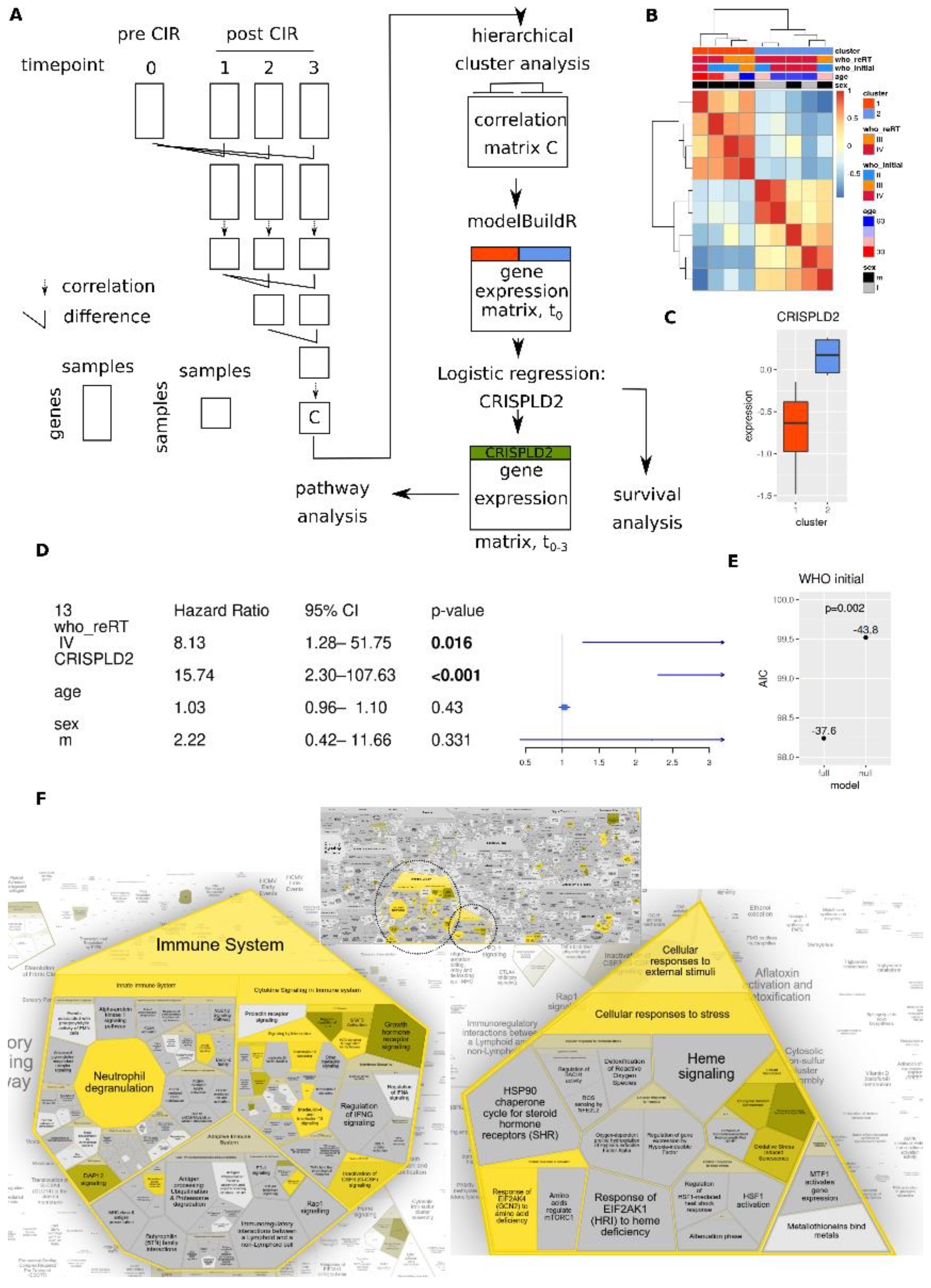 Cancers 14 00684 g006 Cancers 14 00684 g006