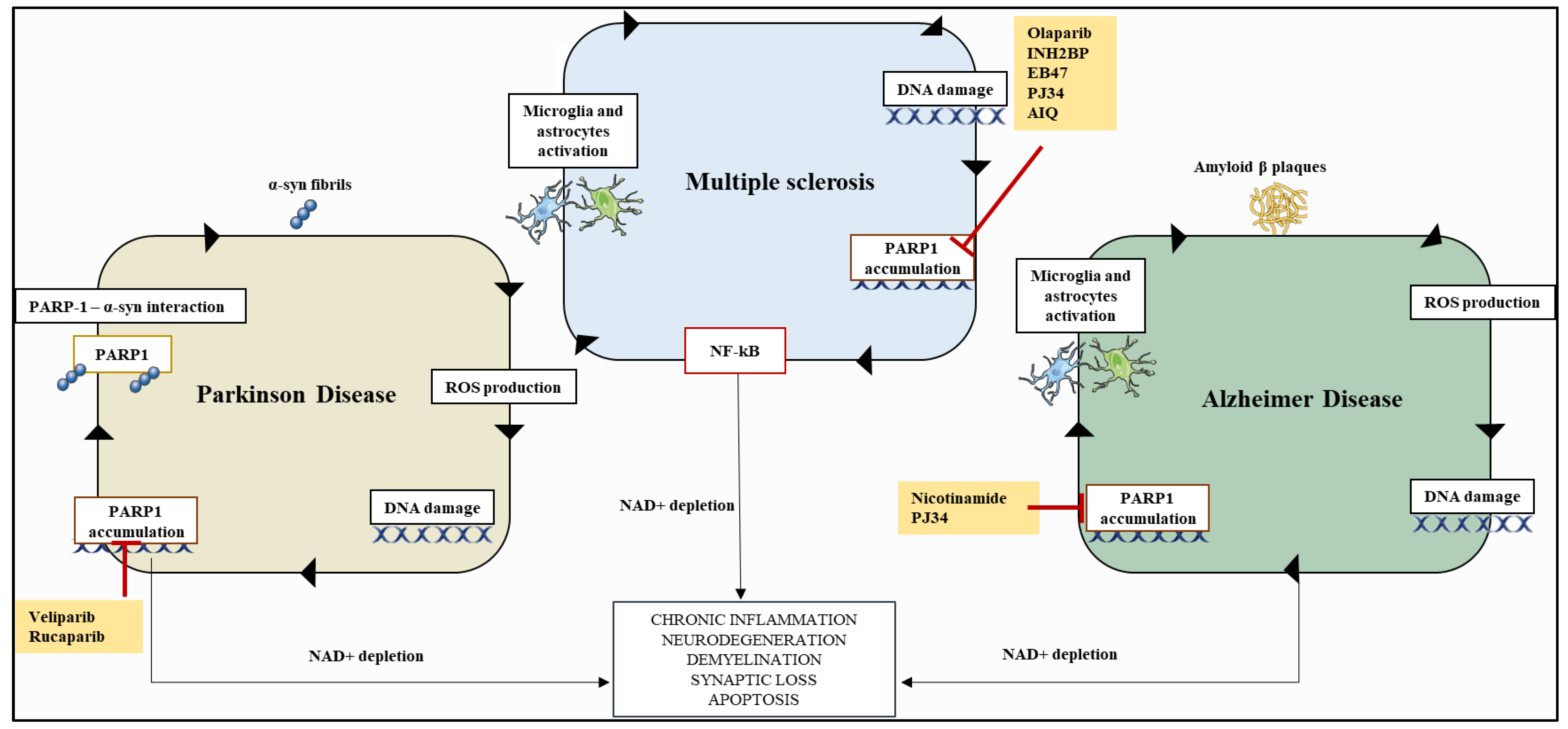 Cancers 14 00687 g004 550