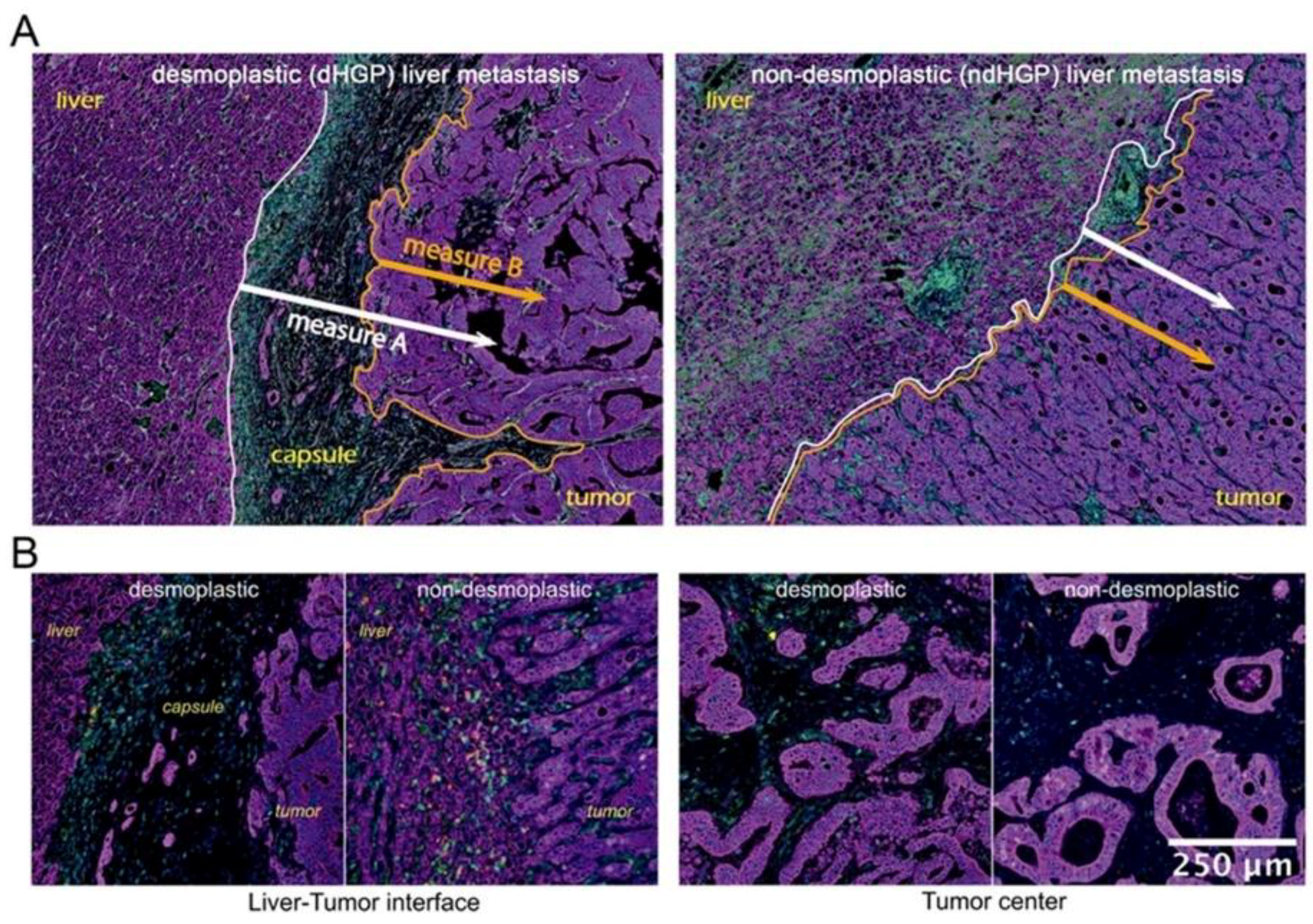 Cancers 14 00689 g002 550