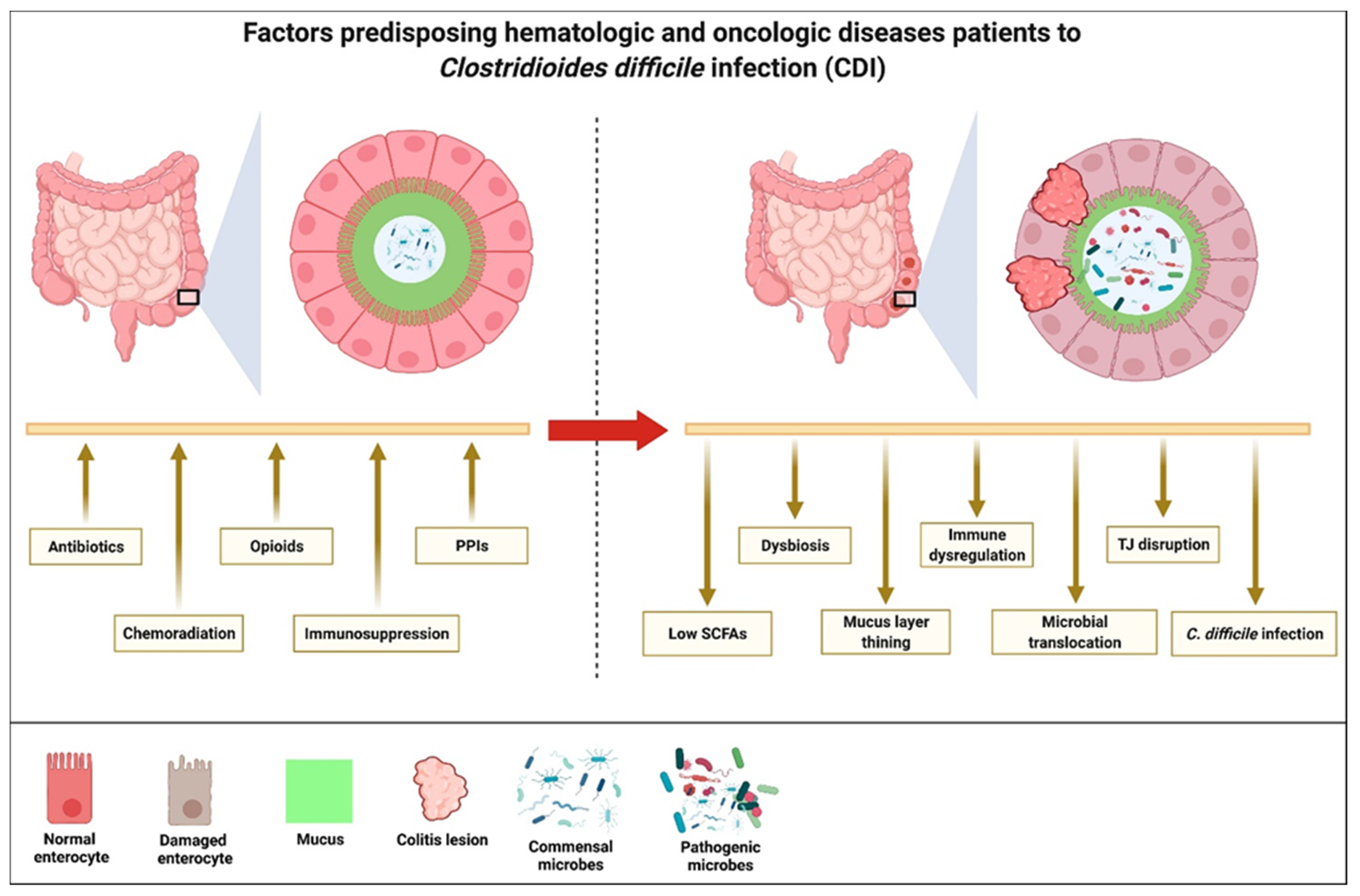 Cancers 14 00691 g003