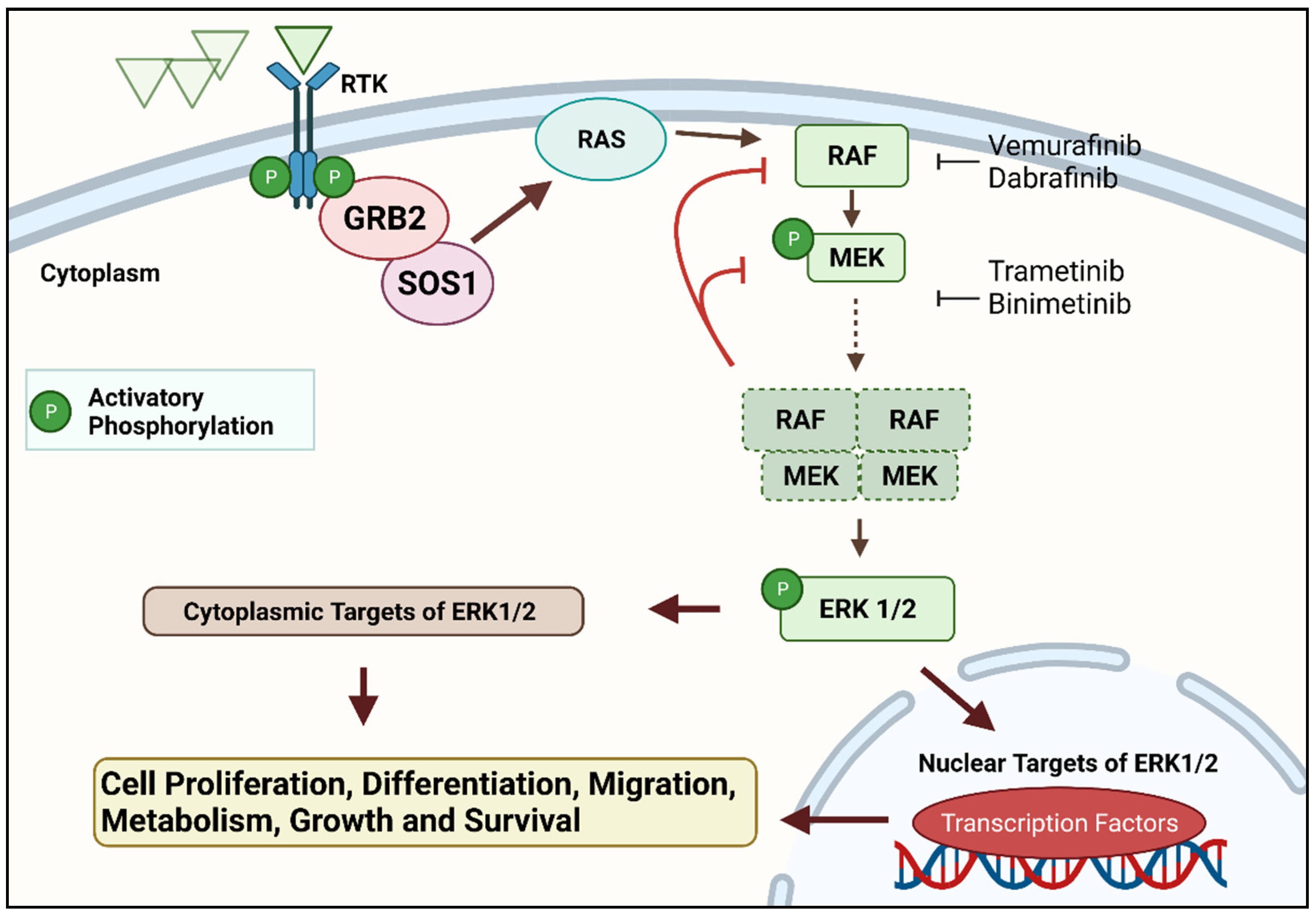 Cancers 14 00697 g001