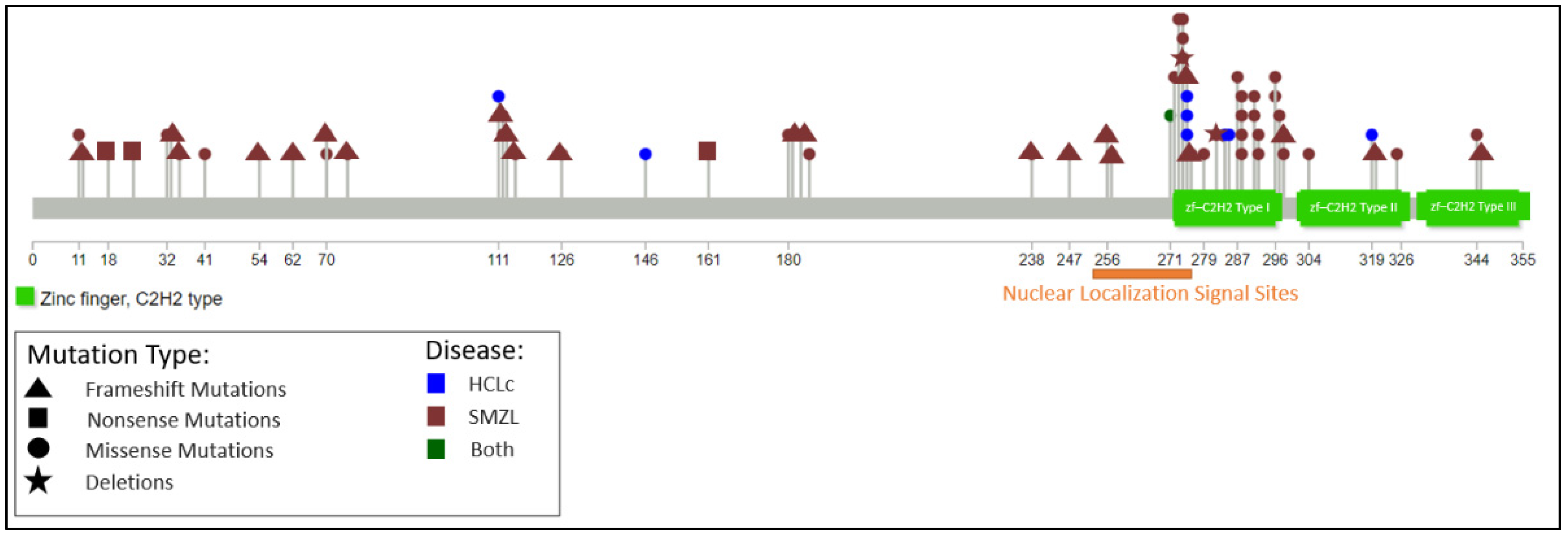 Cancers 14 00697 g004