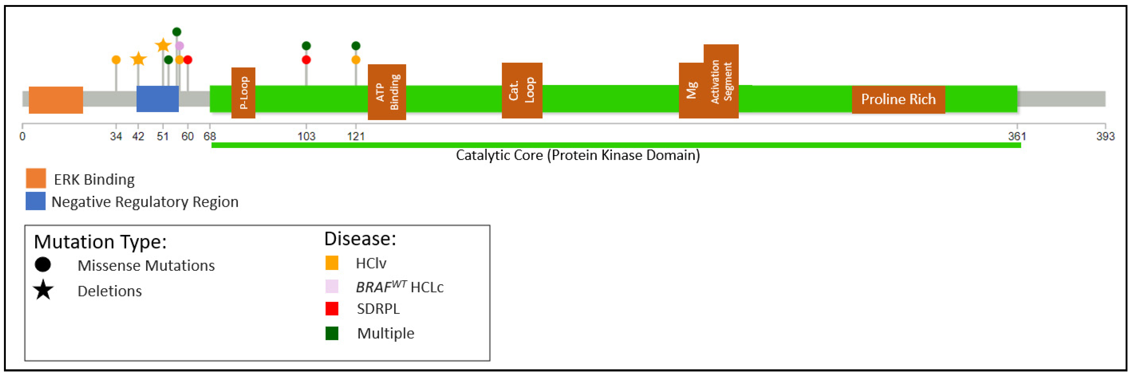 Cancers 14 00697 g005