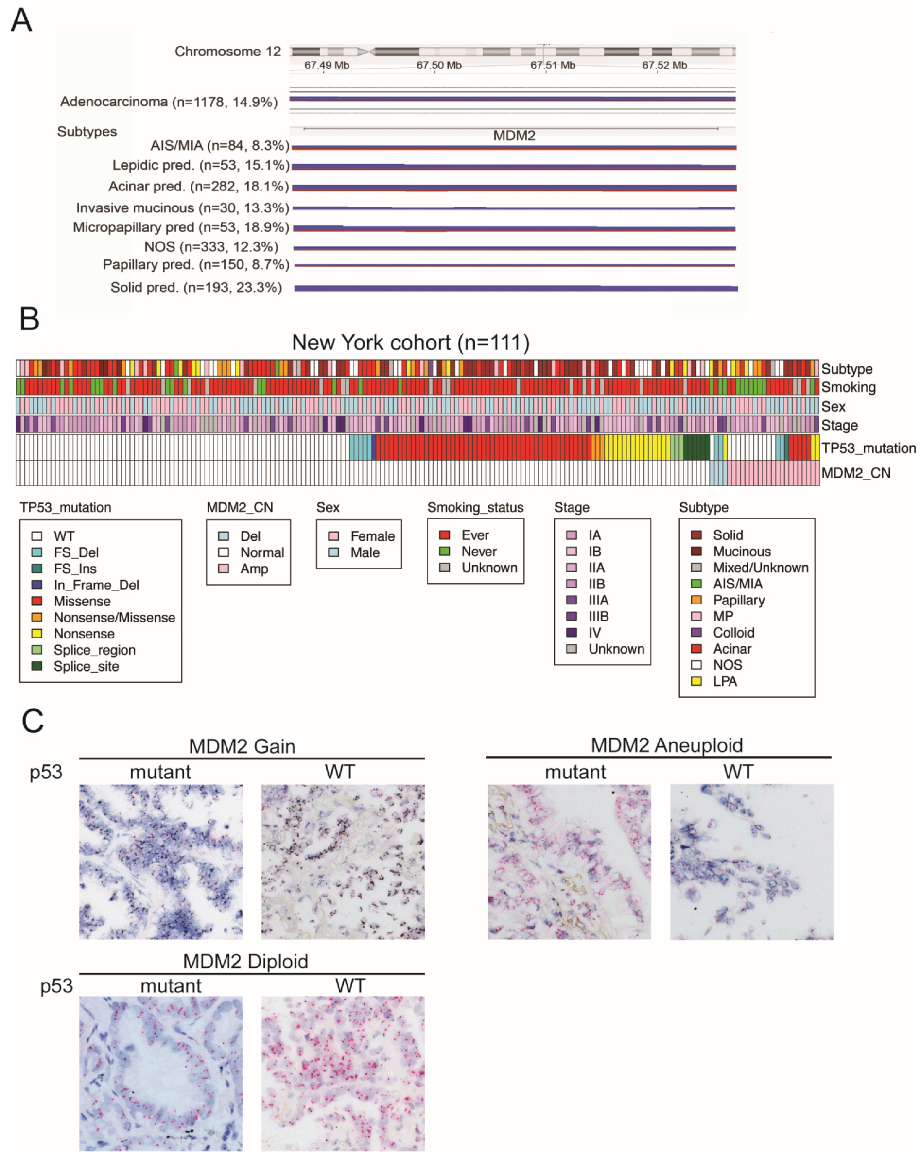 Cancers 14 00708 g001 Cancers 14 00708 g001