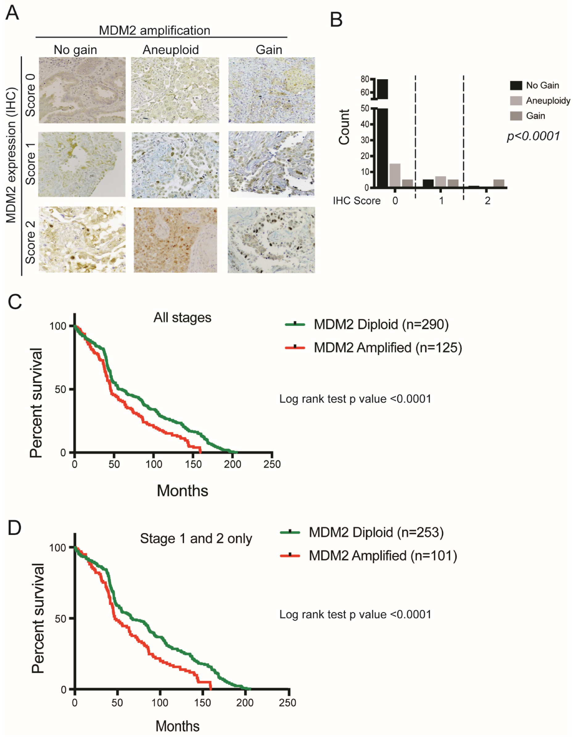 Cancers 14 00708 g002 Cancers 14 00708 g002