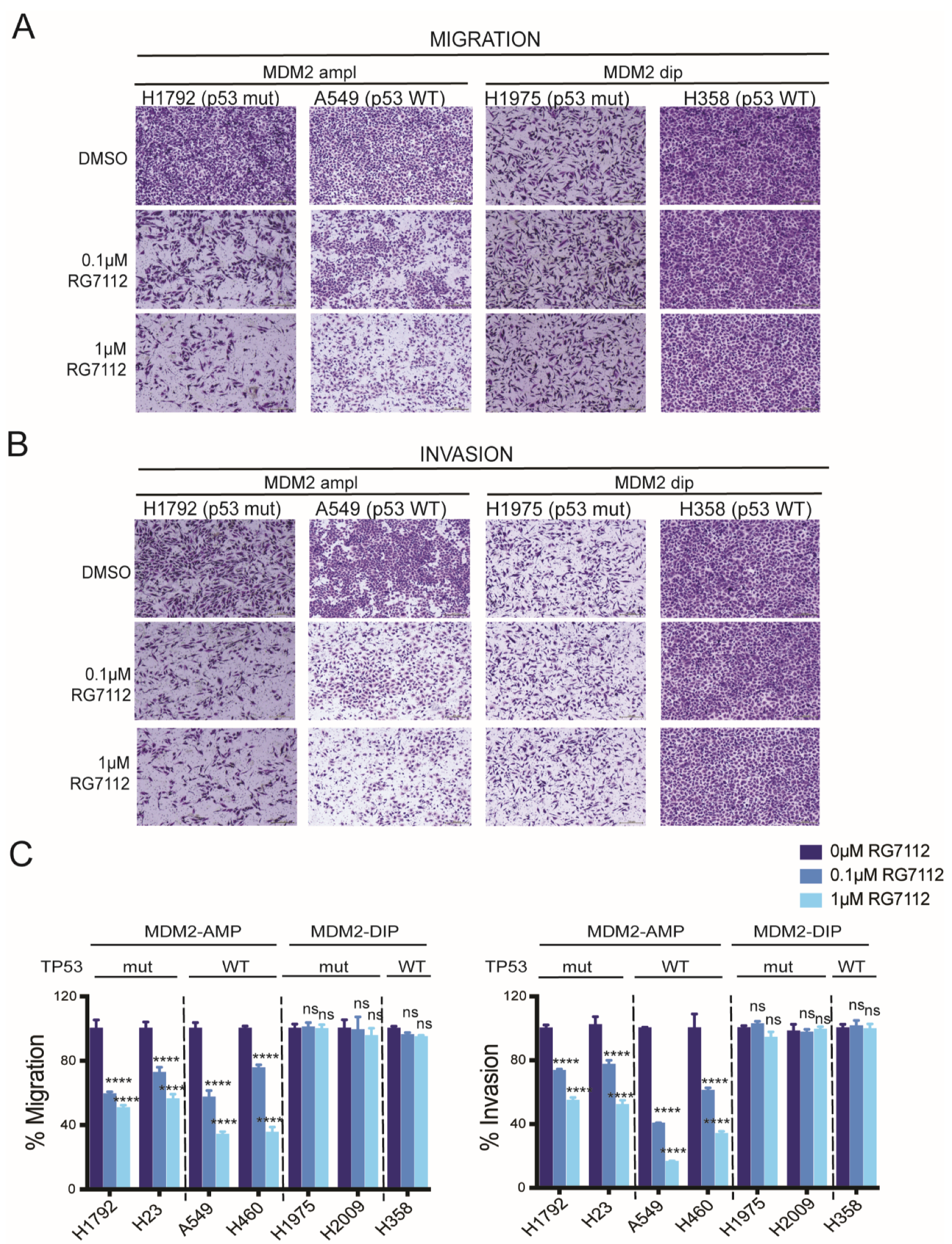 Cancers 14 00708 g003 Cancers 14 00708 g003
