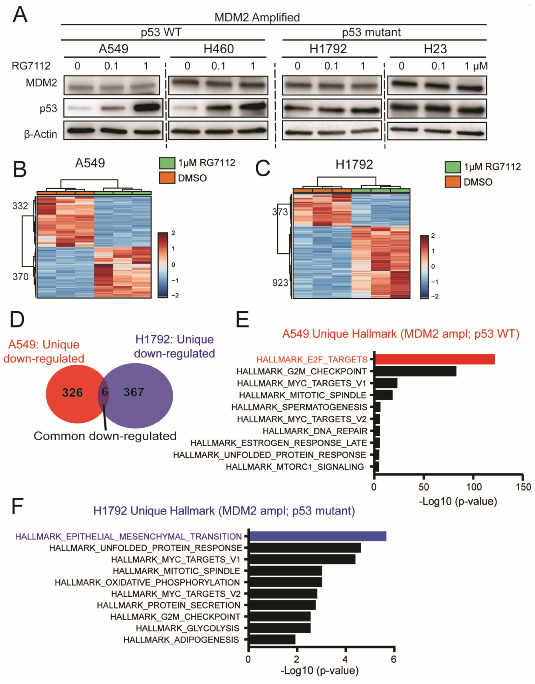 Cancers 14 00708 g005 Cancers 14 00708 g005