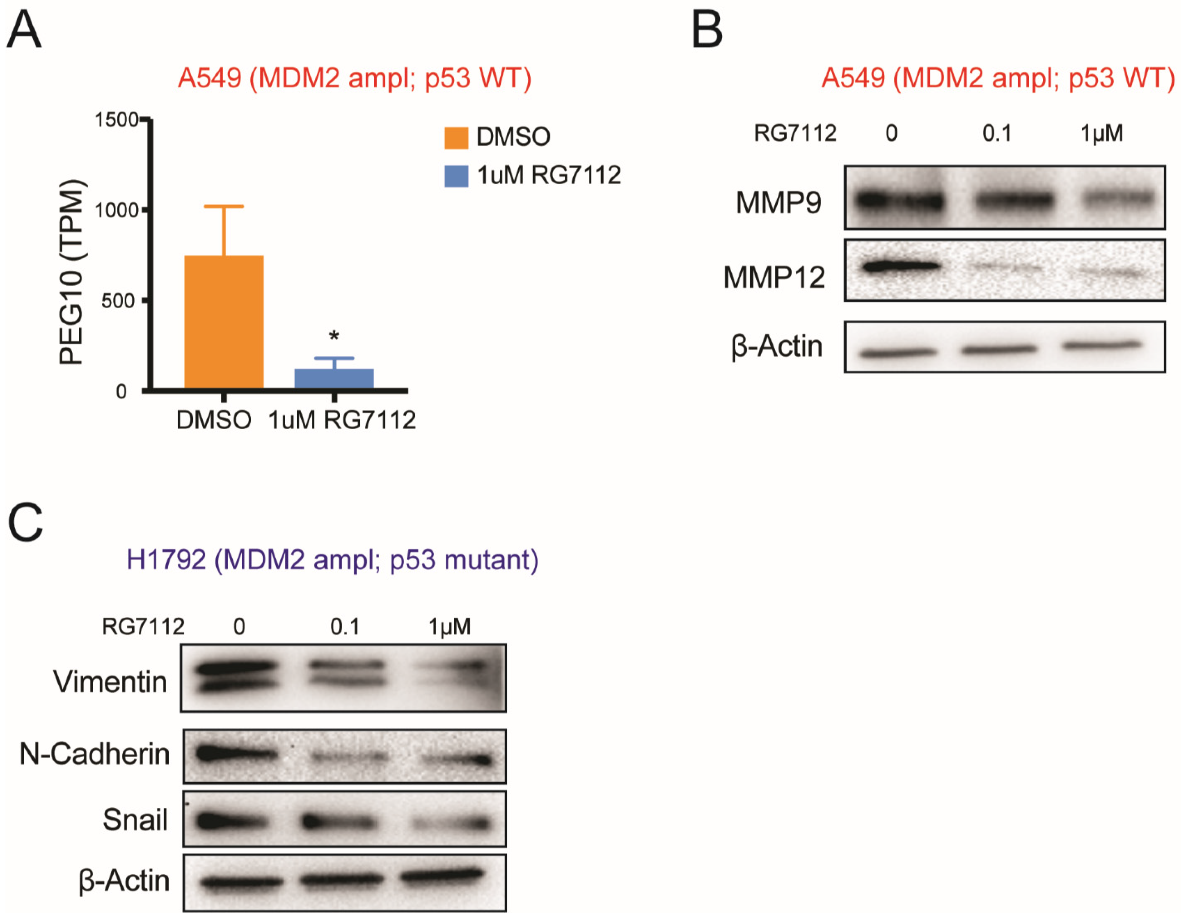 Cancers 14 00708 g006 Cancers 14 00708 g006