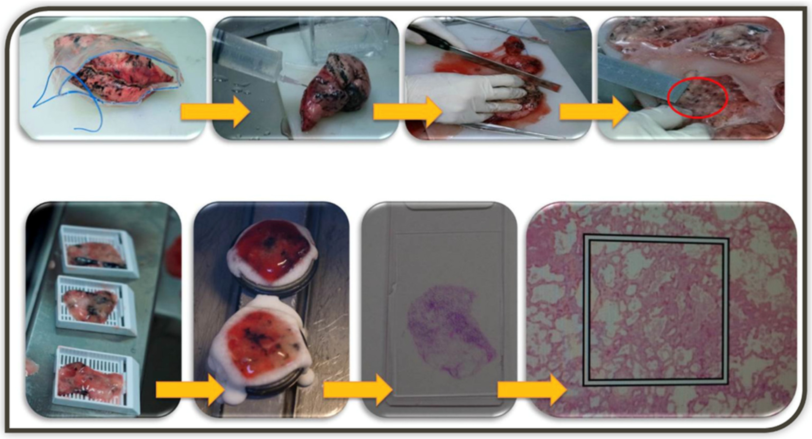 Cancers 14 00715 g002