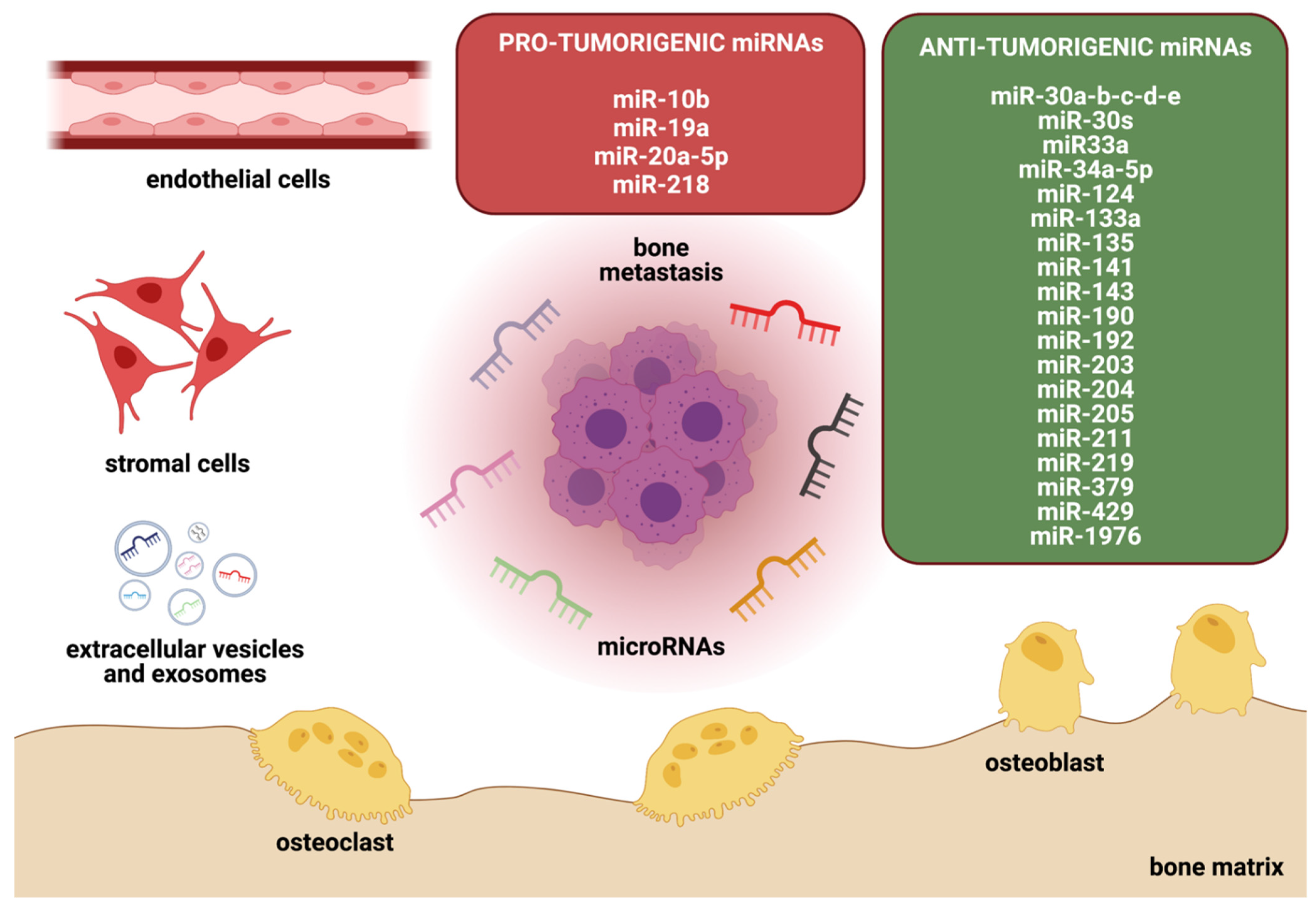 Cancers 14 00729 g002