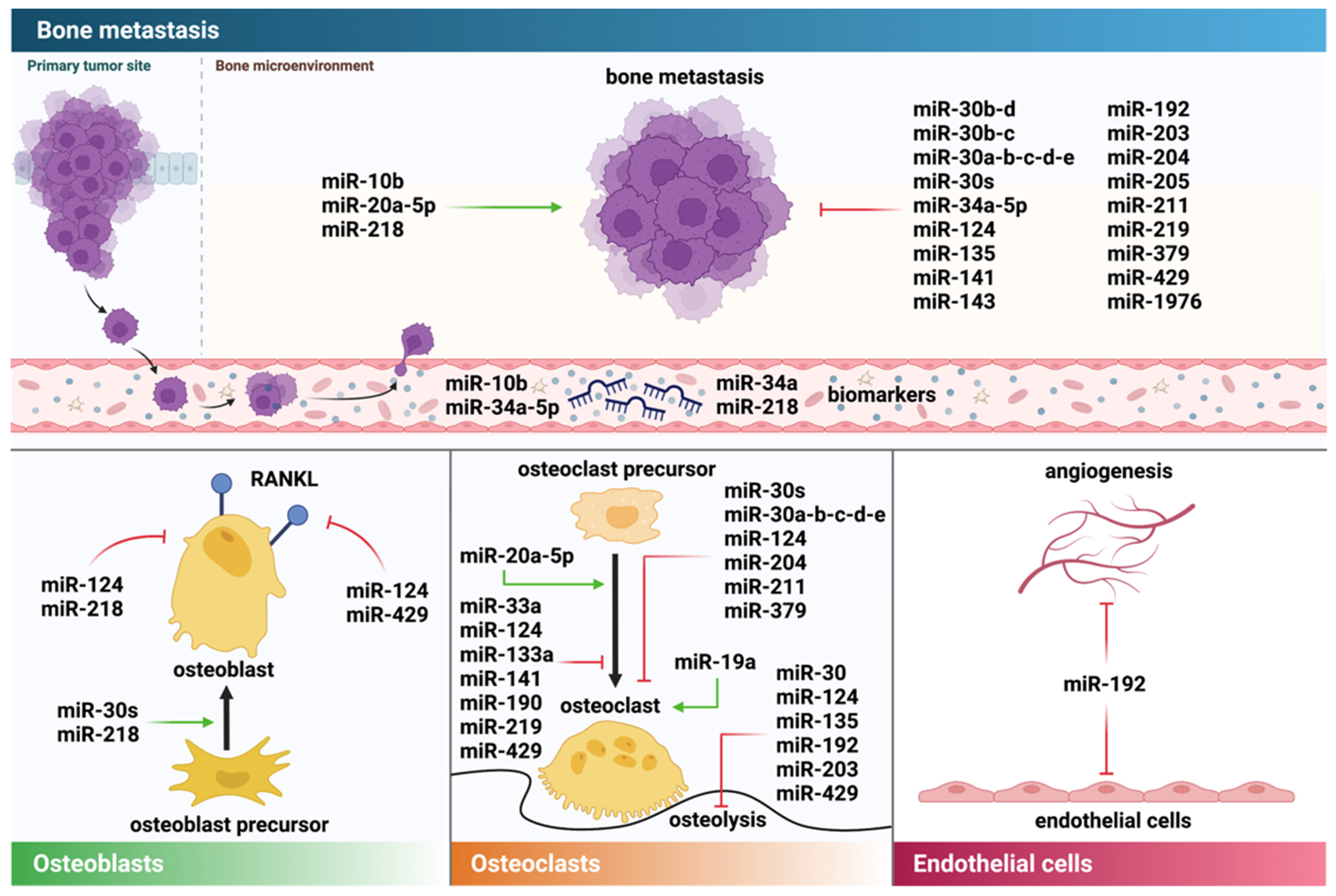 Cancers 14 00729 g003