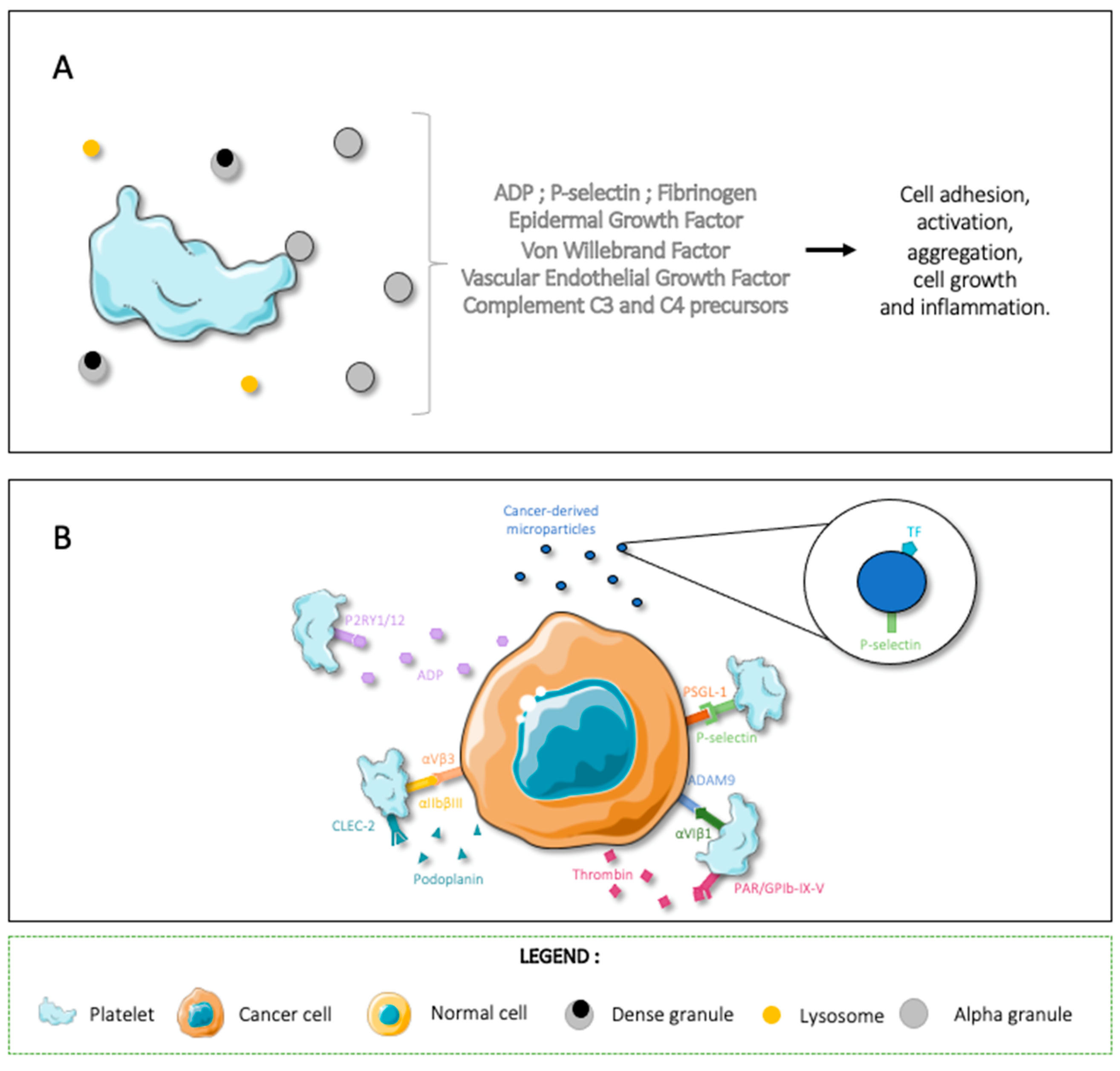 Cancers 14 00730 g001 Cancers 14 00730 g001