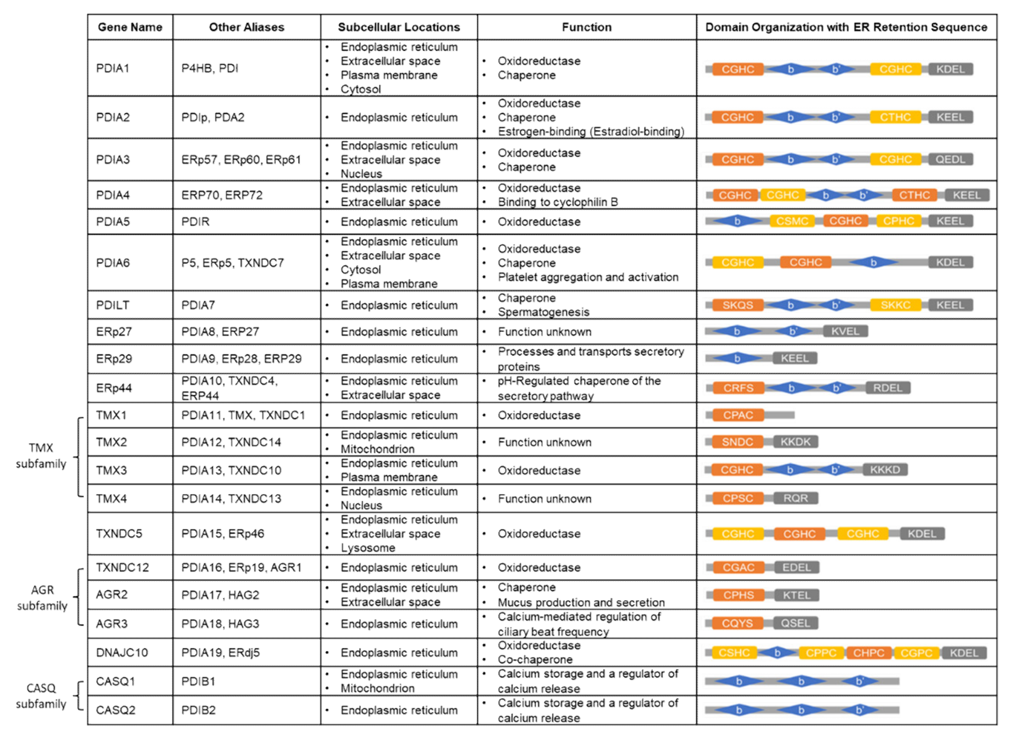 Cancers 14 00745 g002
