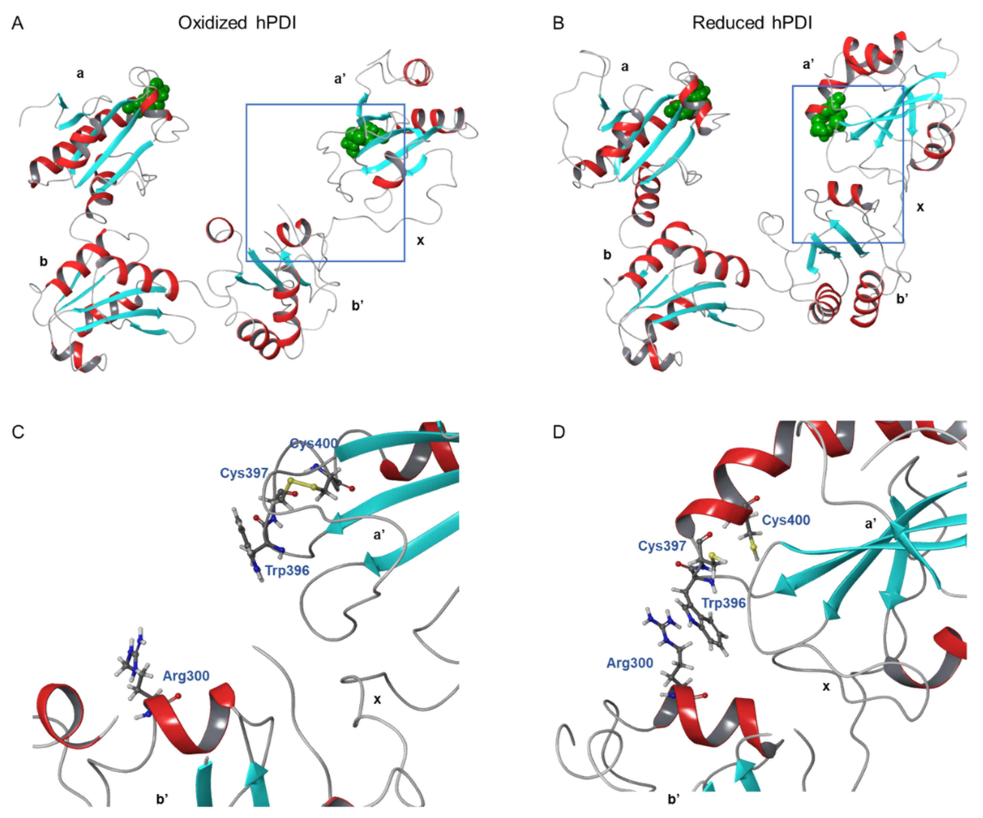 Cancers 14 00745 g003