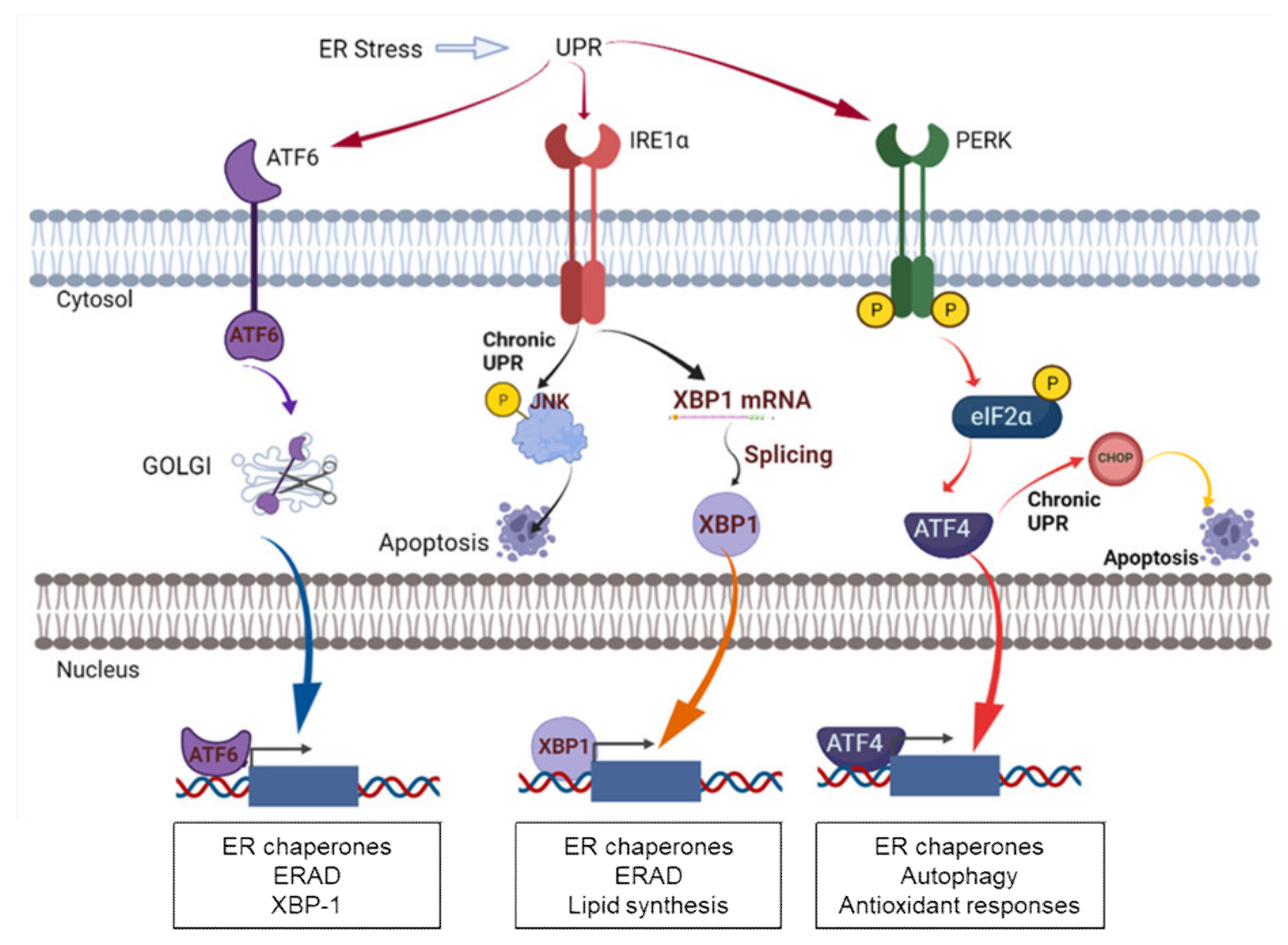 Cancers 14 00745 g004