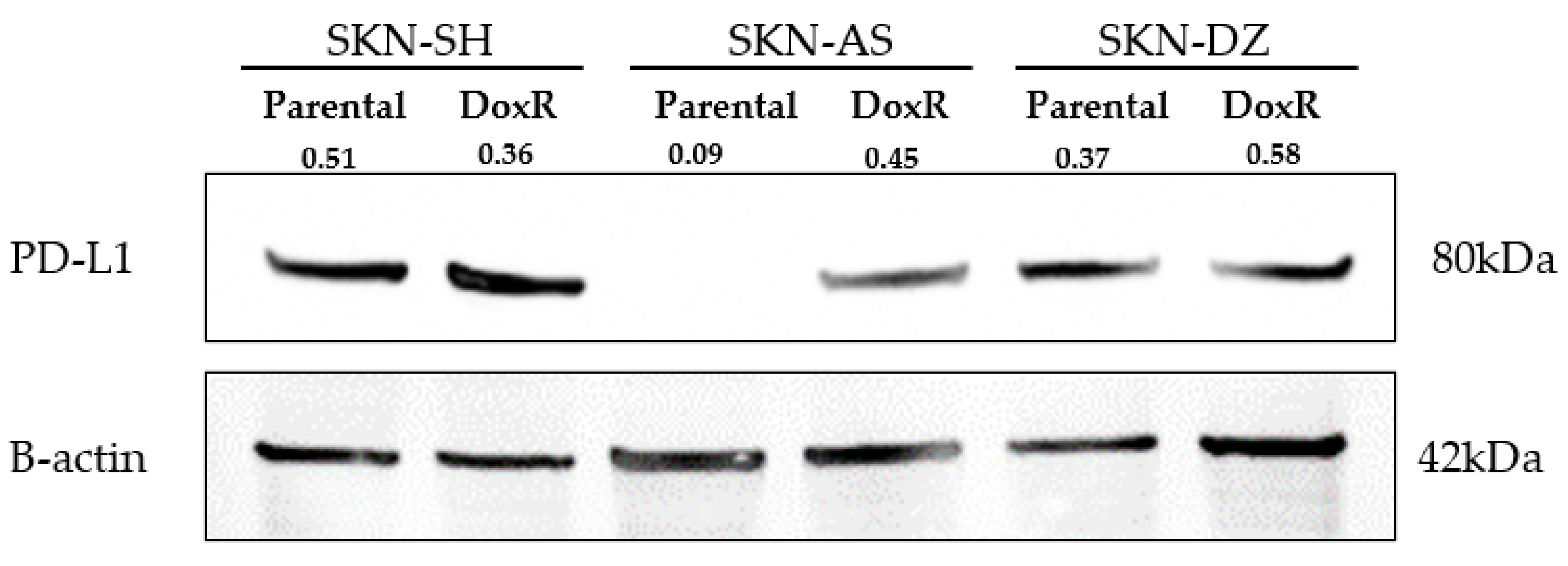 Cancers 14 00751 g003