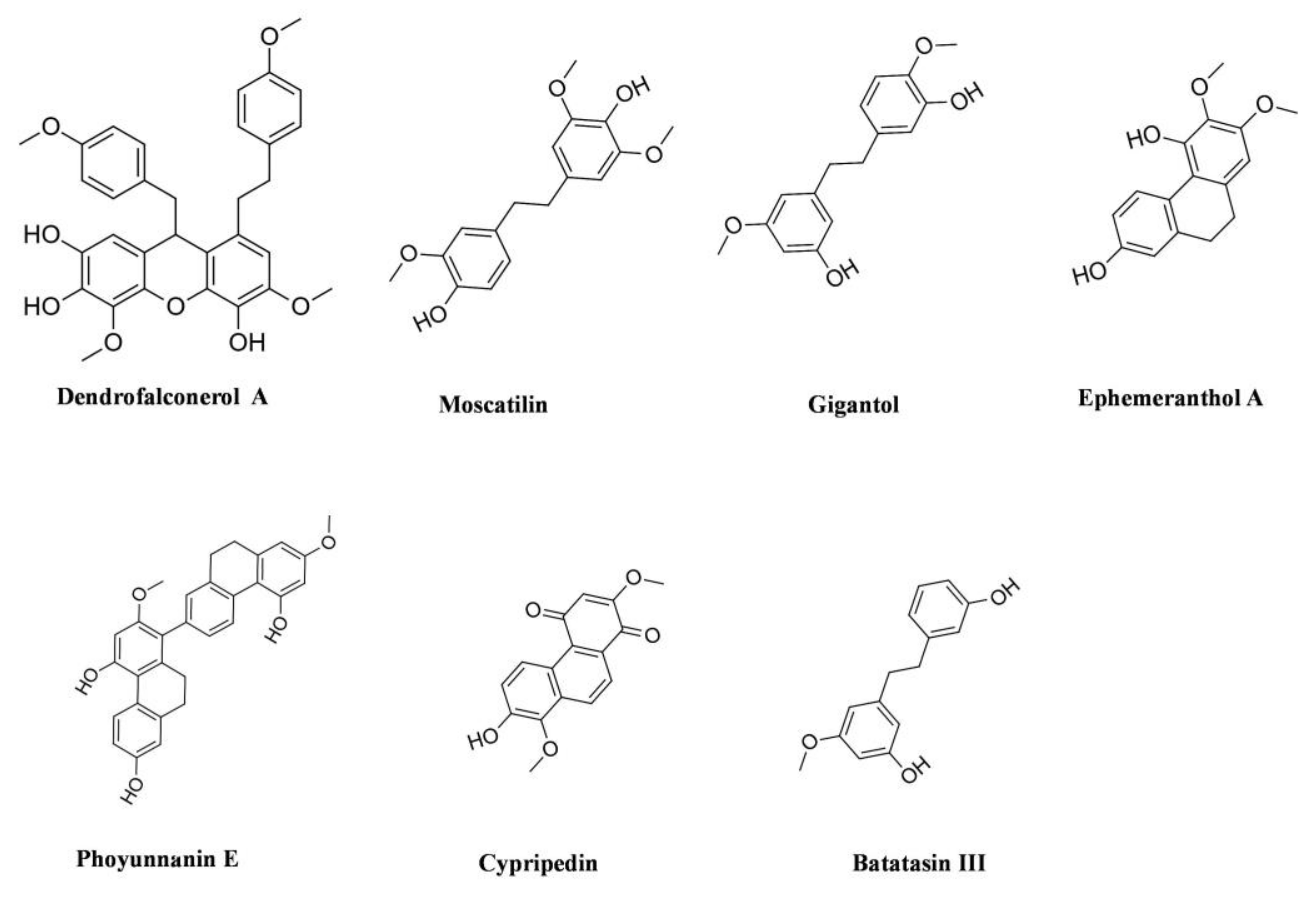 Cancers 14 00754 g002