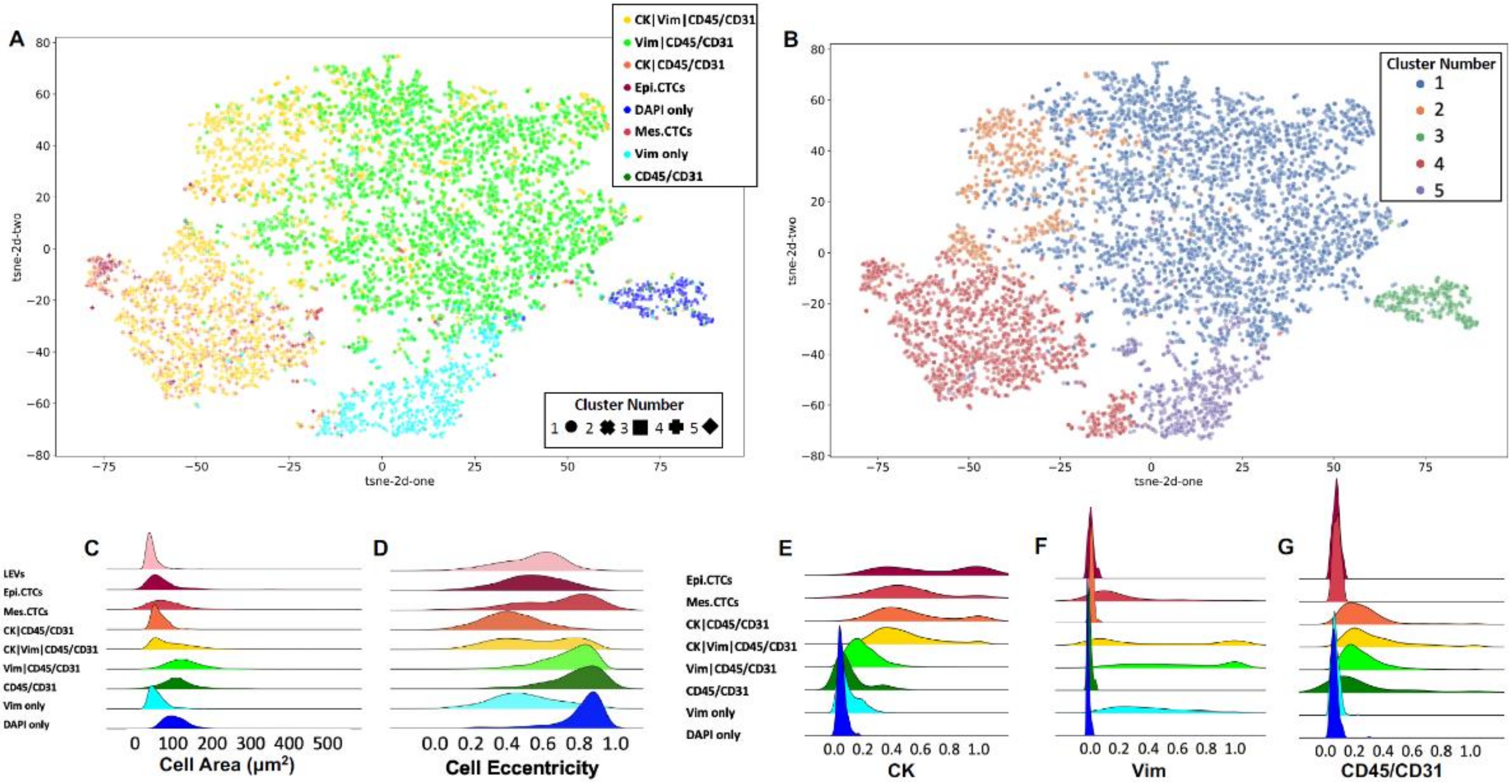 Cancers 14 00758 g003