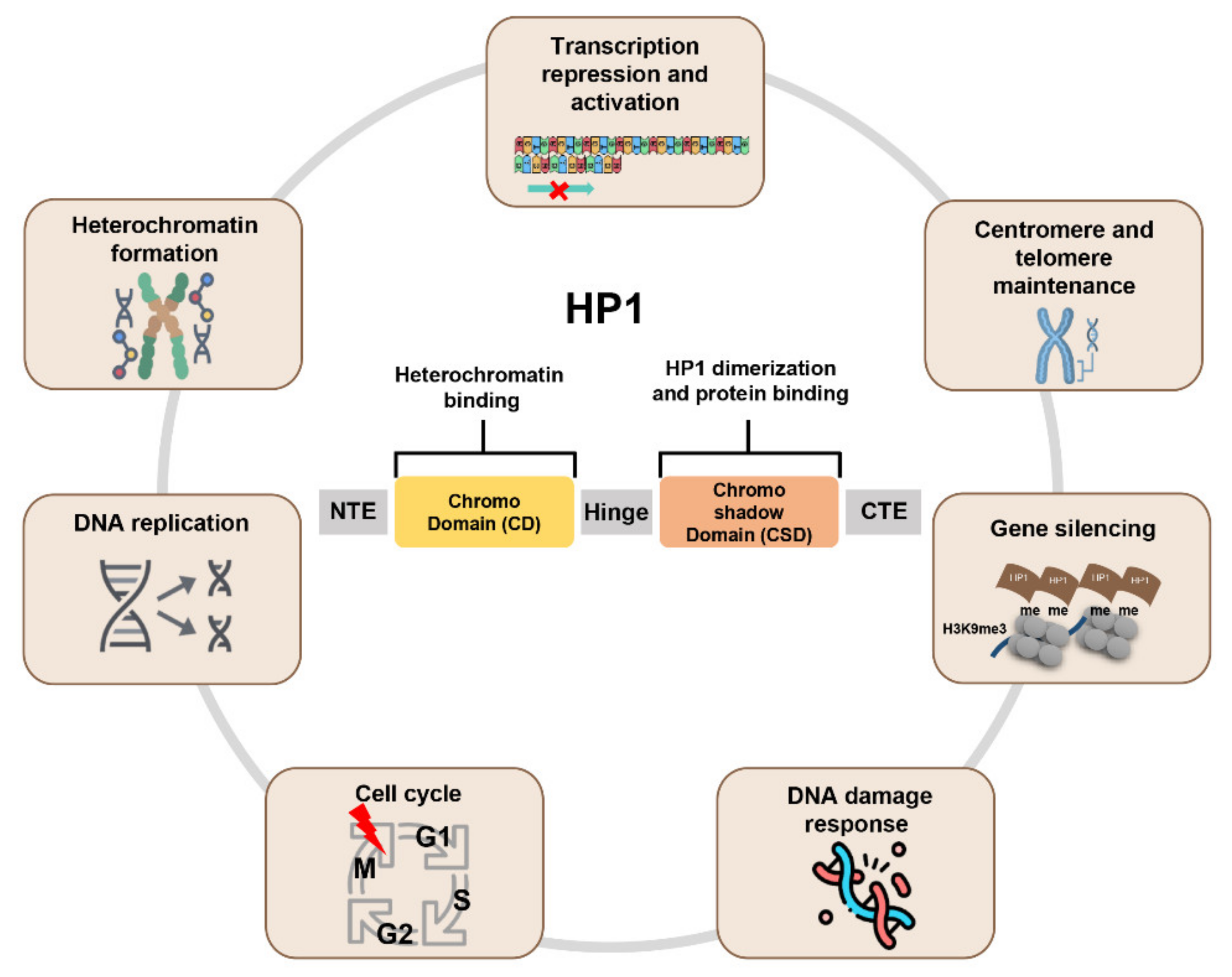 Cancers 14 00763 g001 Cancers 14 00763 g001