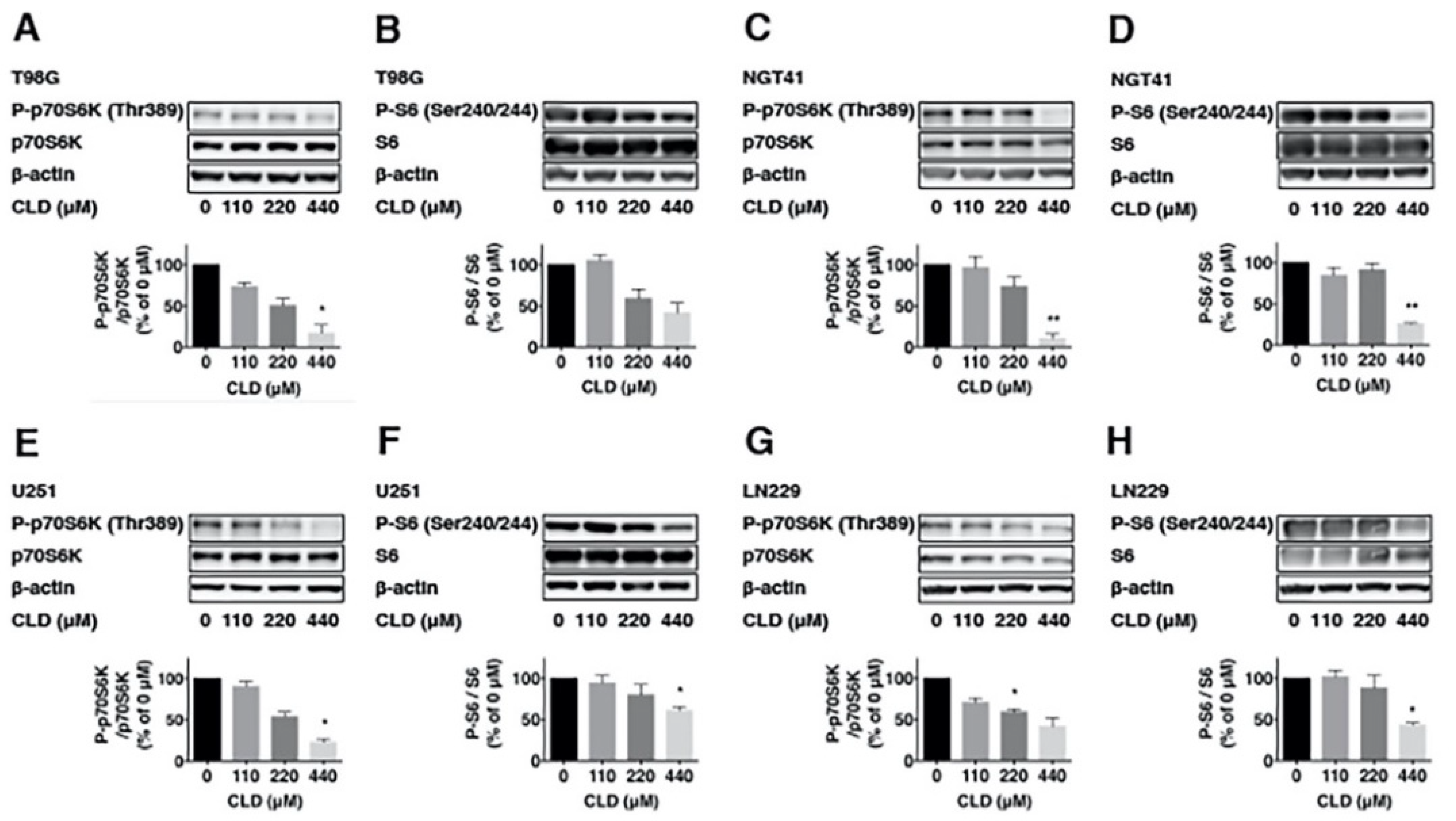 Cancers 14 00770 g002