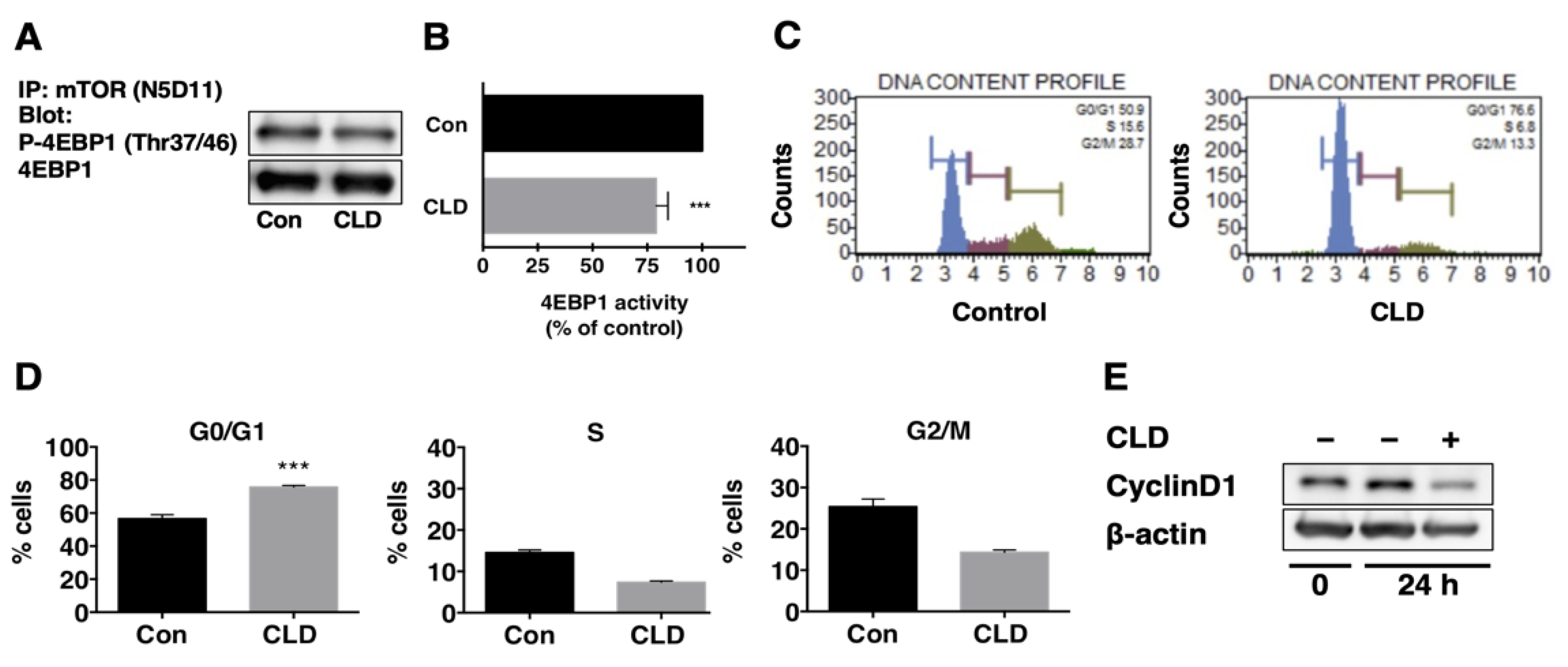 Cancers 14 00770 g004