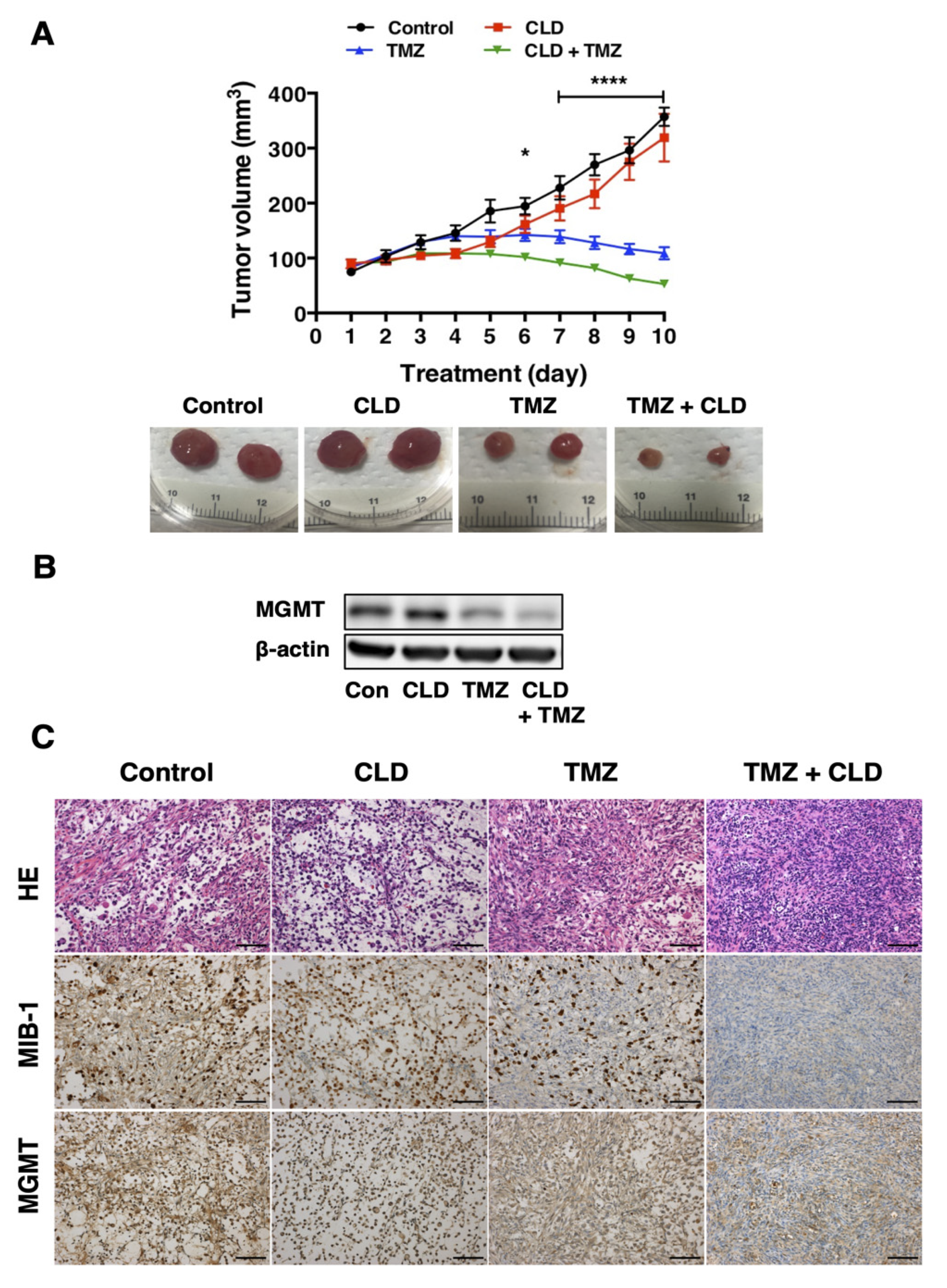 Cancers 14 00770 g006