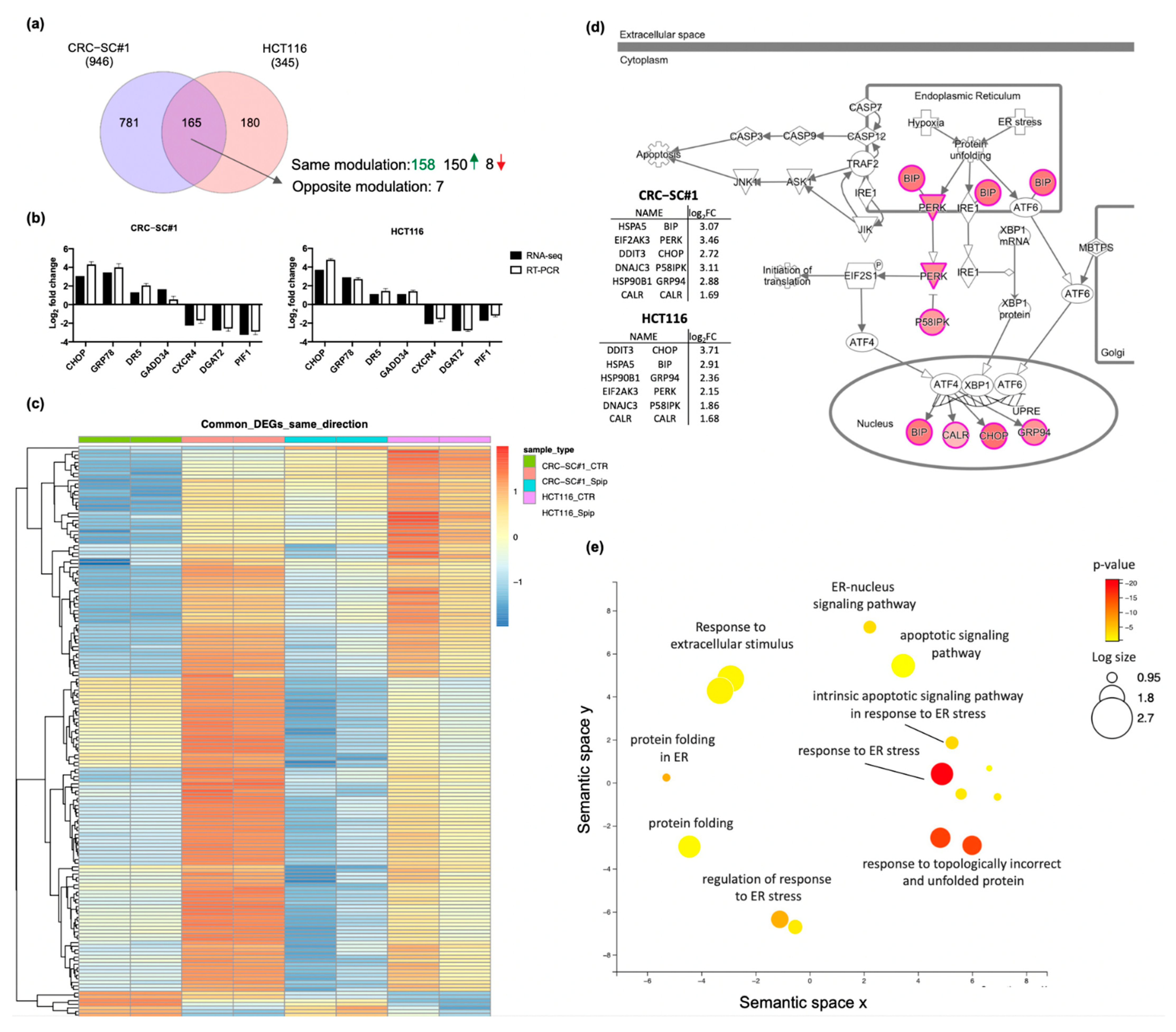 Cancers 14 00776 g007 550