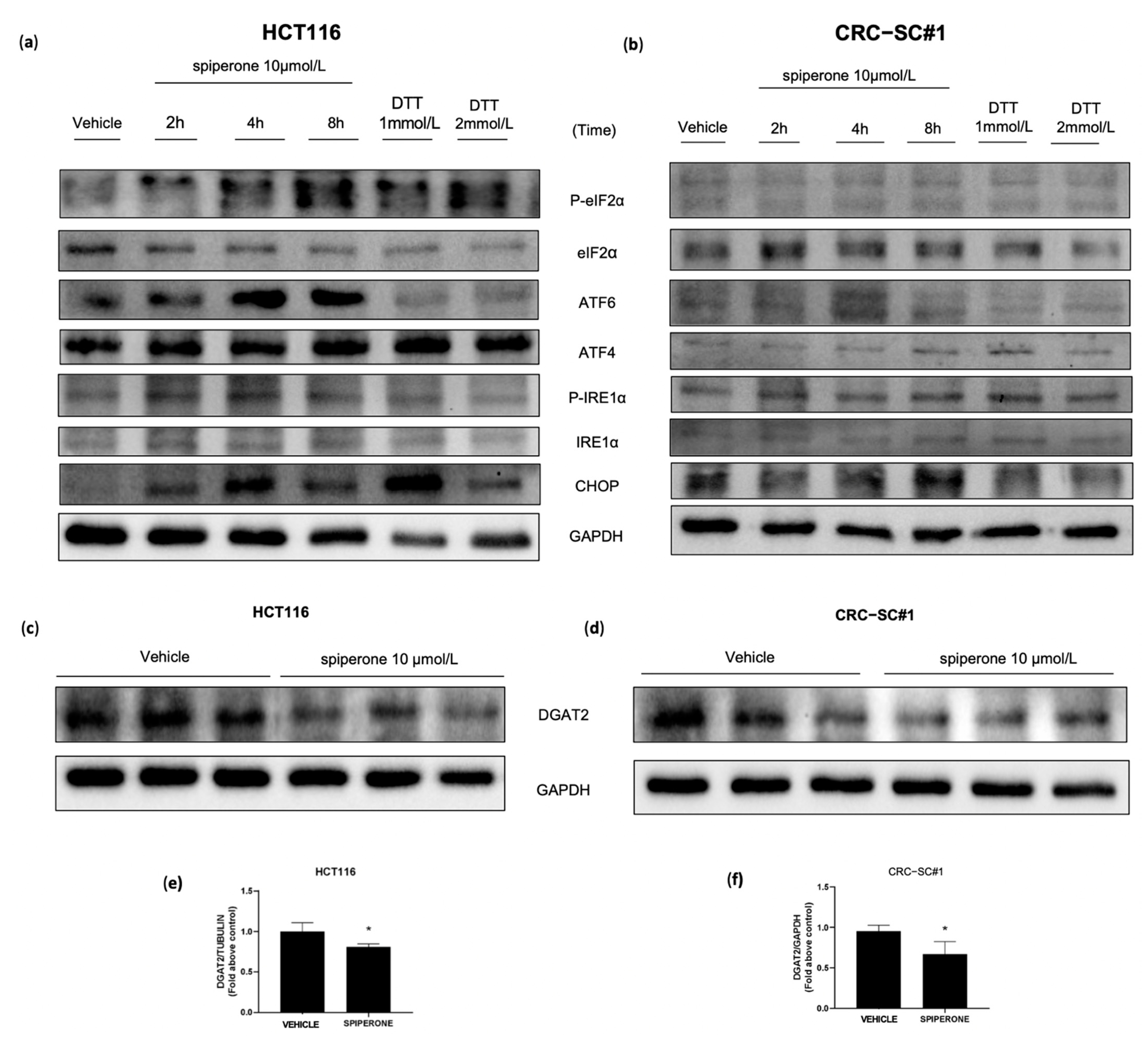 Cancers 14 00776 g008 550