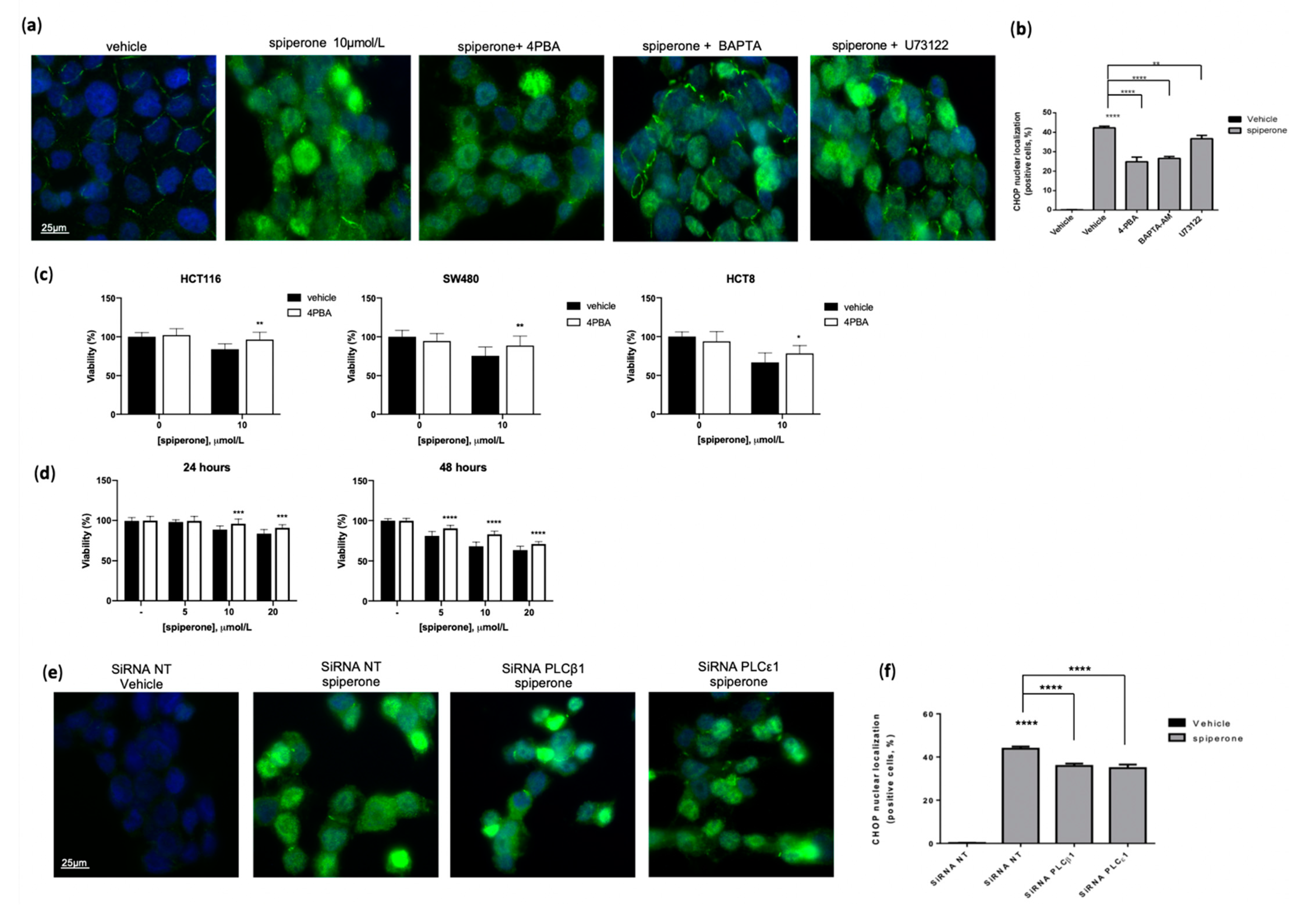 Cancers 14 00776 g009 550