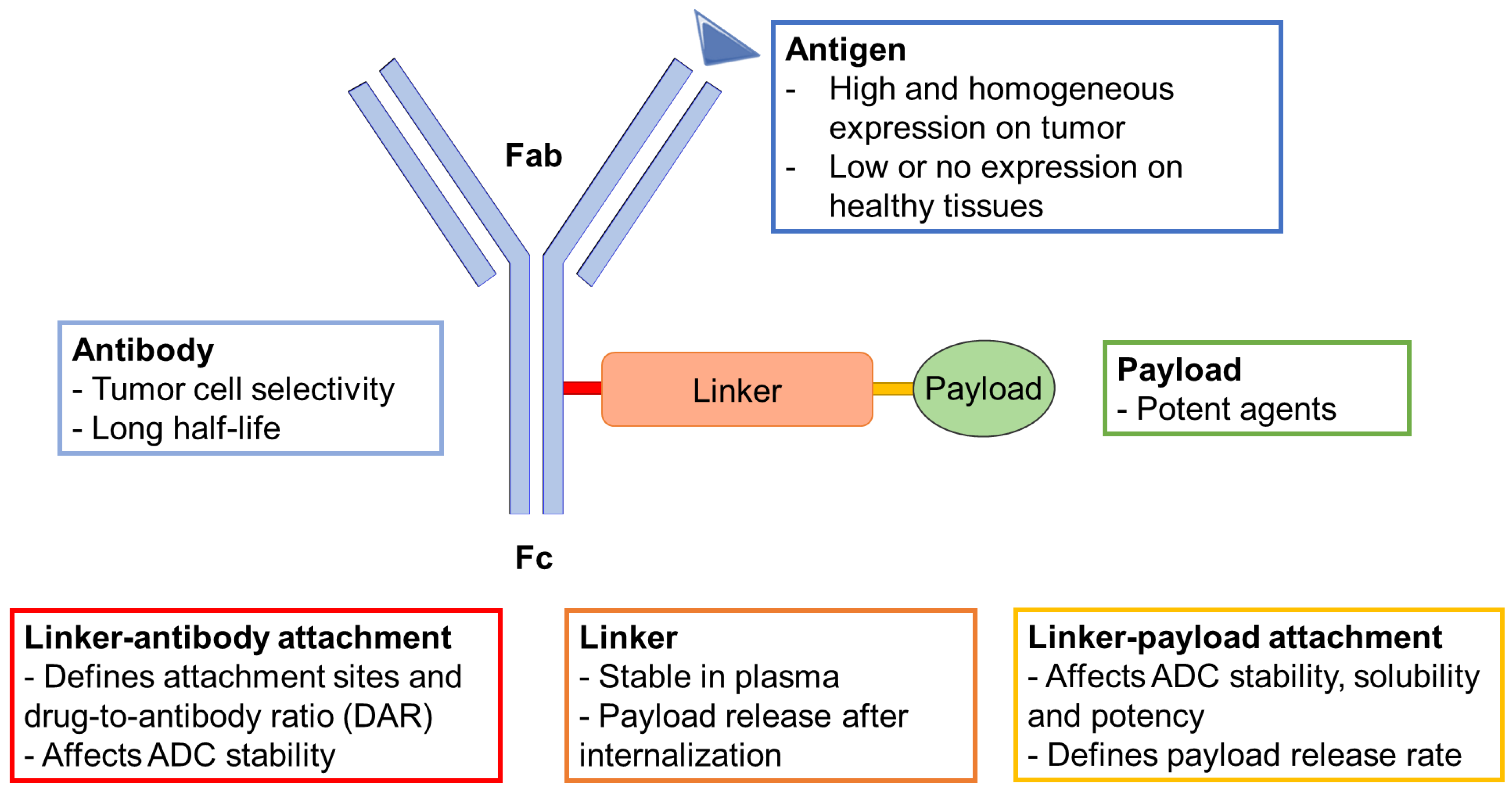 Cancers 14 00778 g001 550