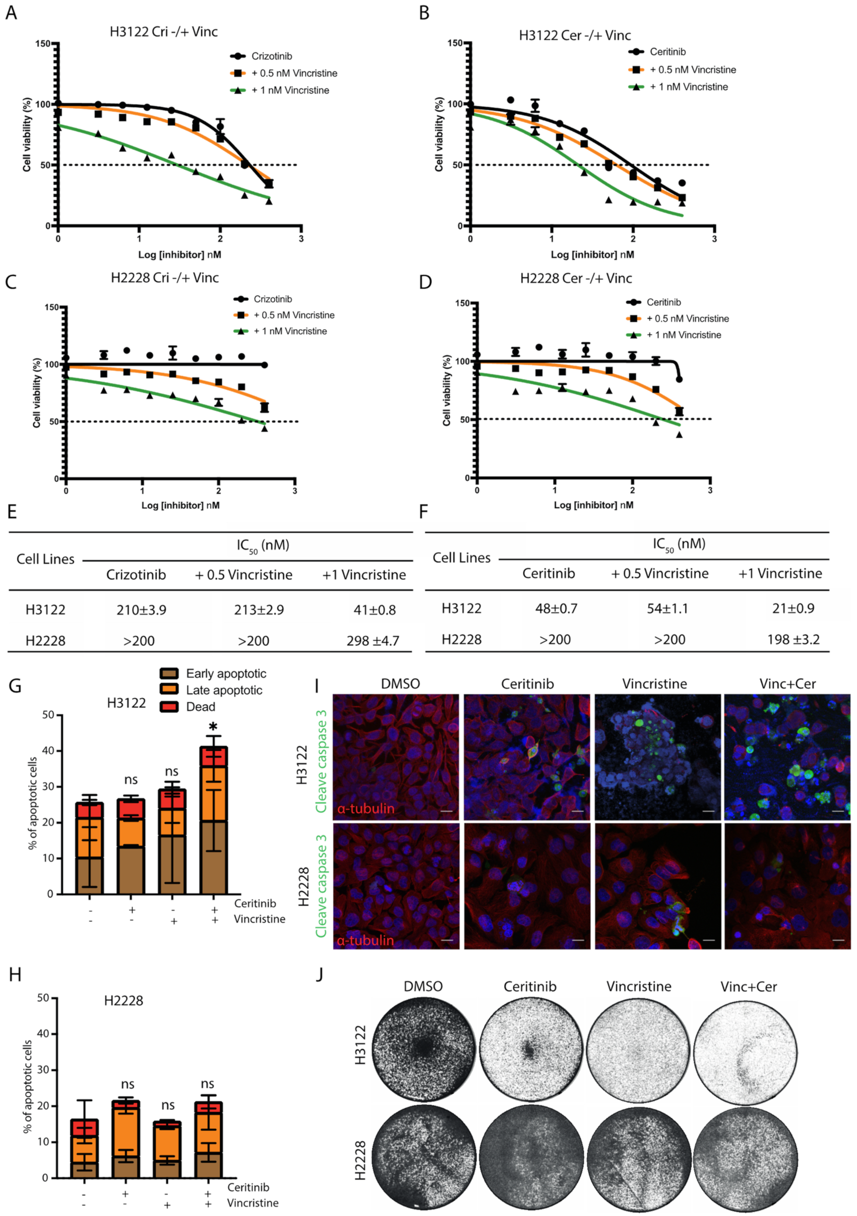 Cancers 14 00779 g002