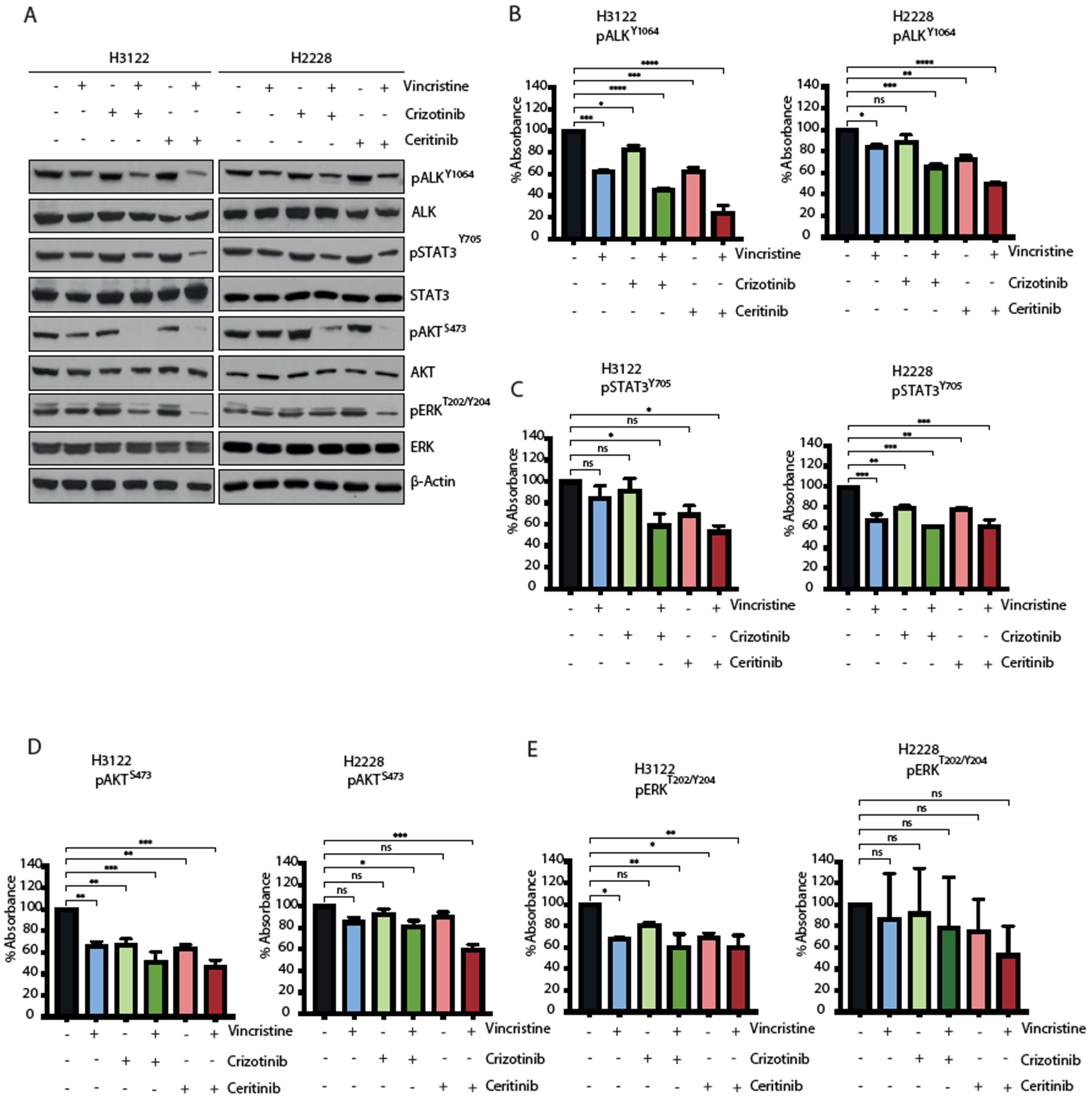 Cancers 14 00779 g005