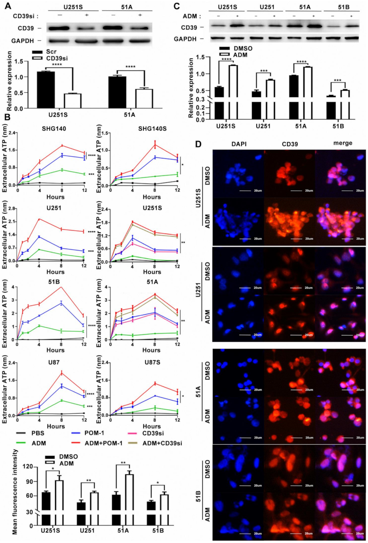 Cancers 14 00783 g002 550