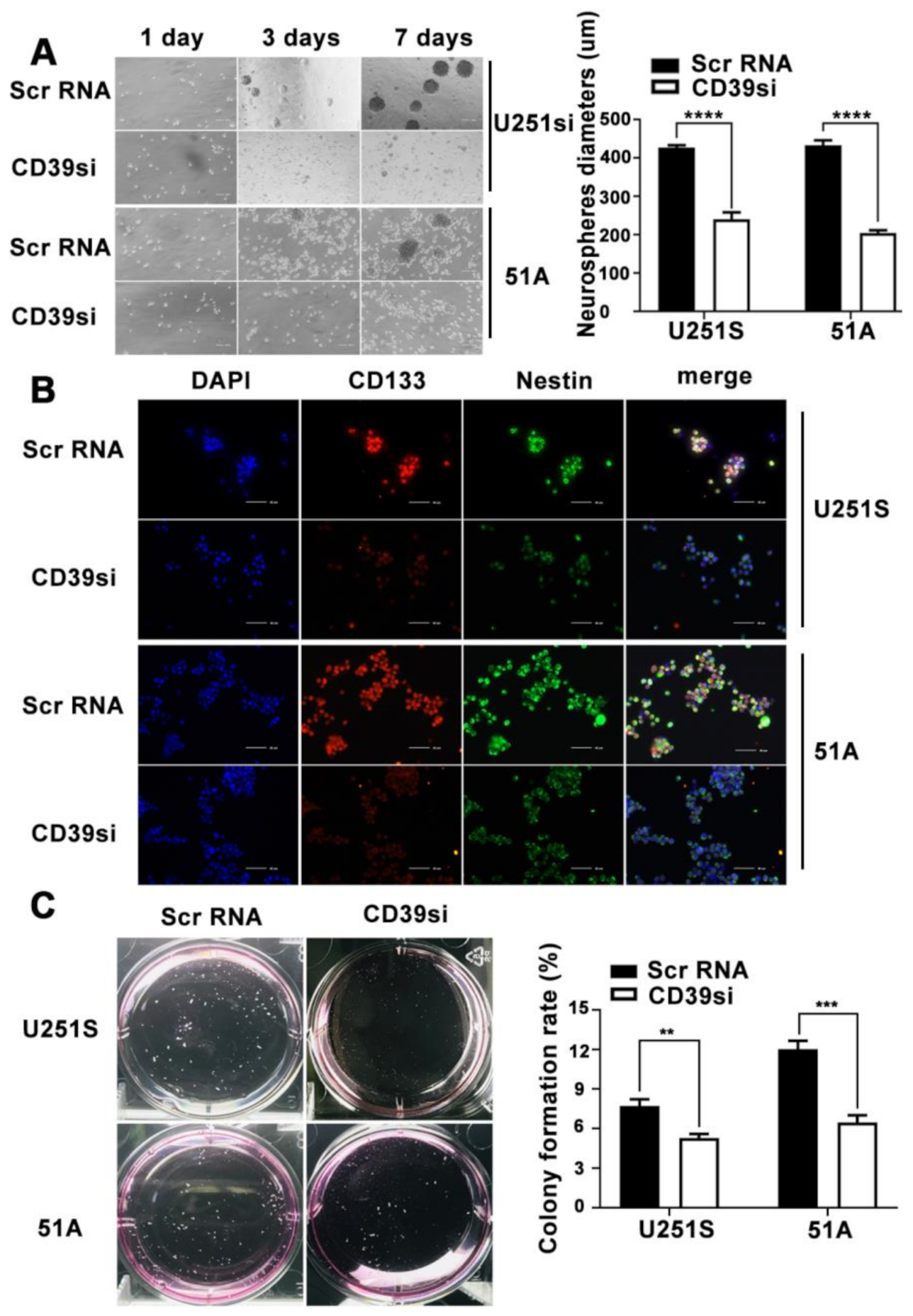 Cancers 14 00783 g003 550