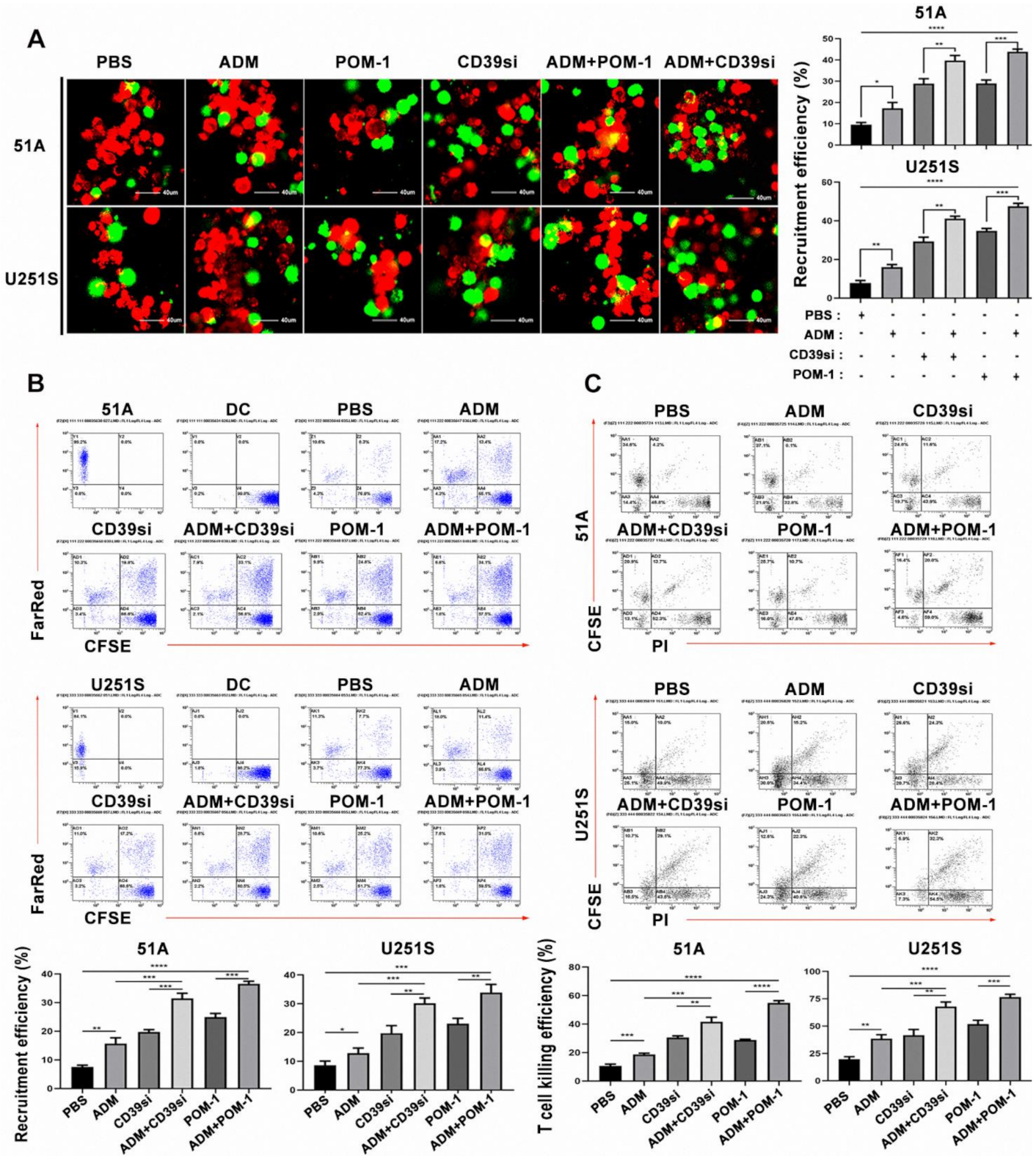 Cancers 14 00783 g004 550