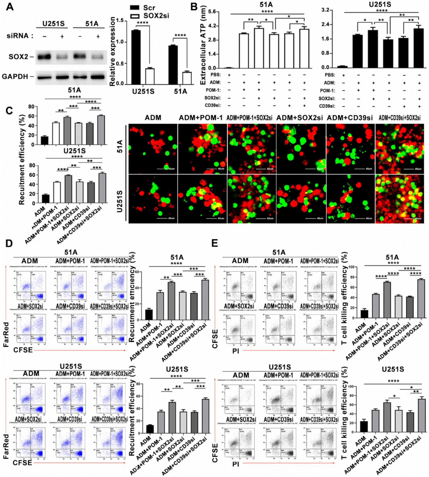 Cancers 14 00783 g005 550