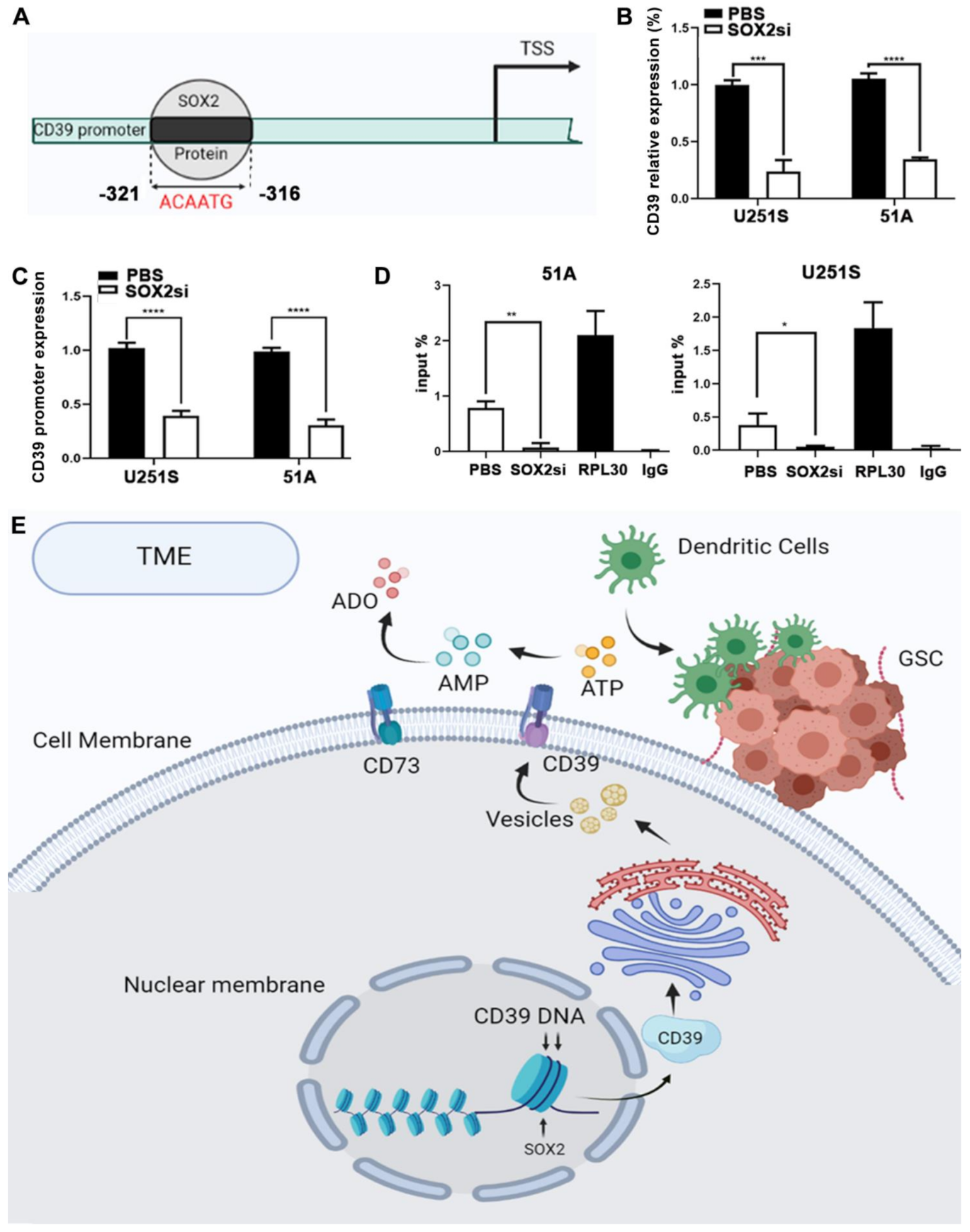 Cancers 14 00783 g006 550