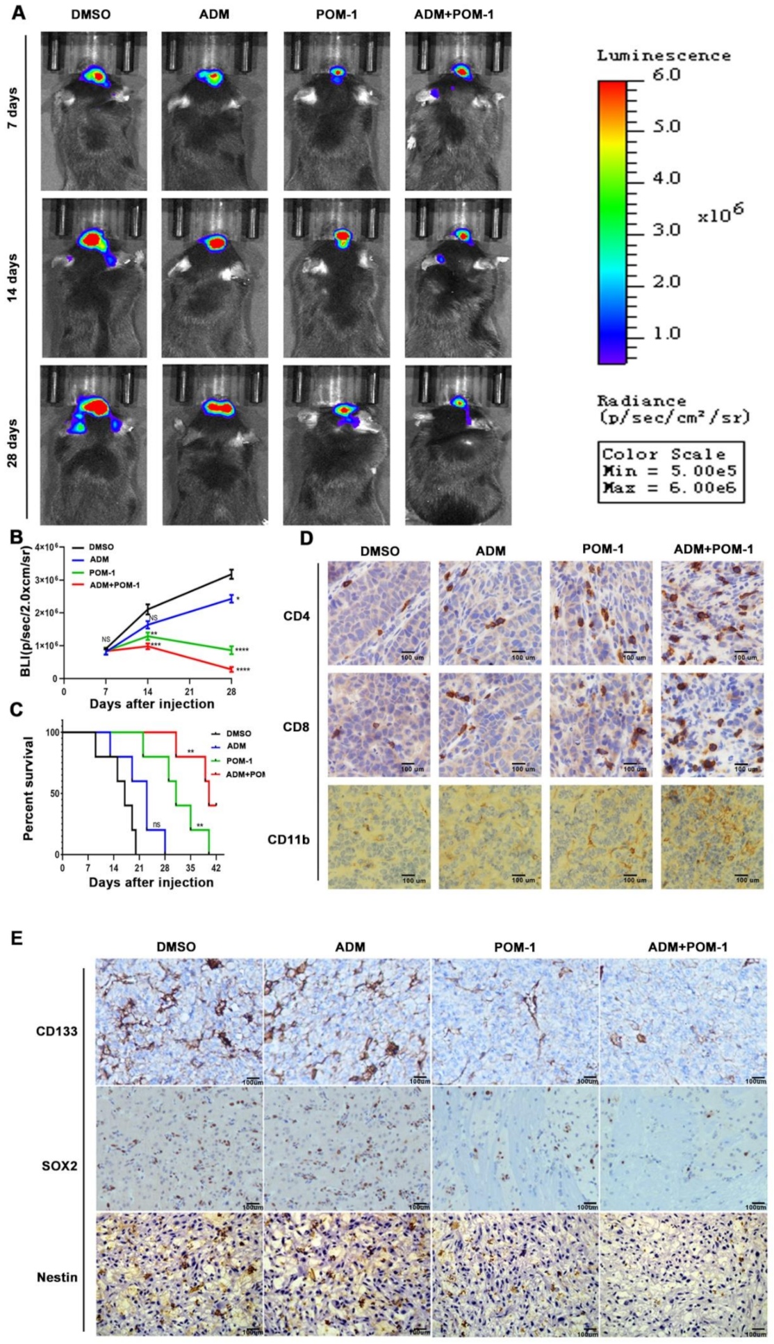 Cancers 14 00783 g008 550
