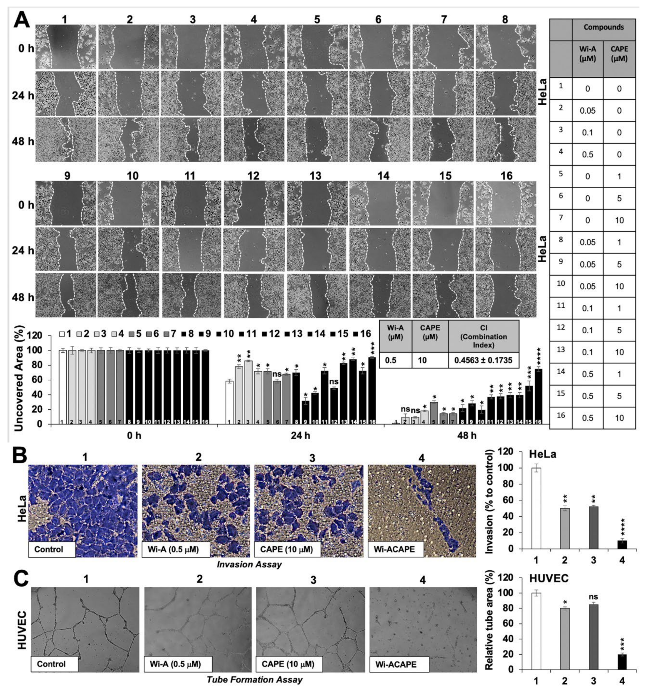 Cancers 14 00787 g001 Cancers 14 00787 g001