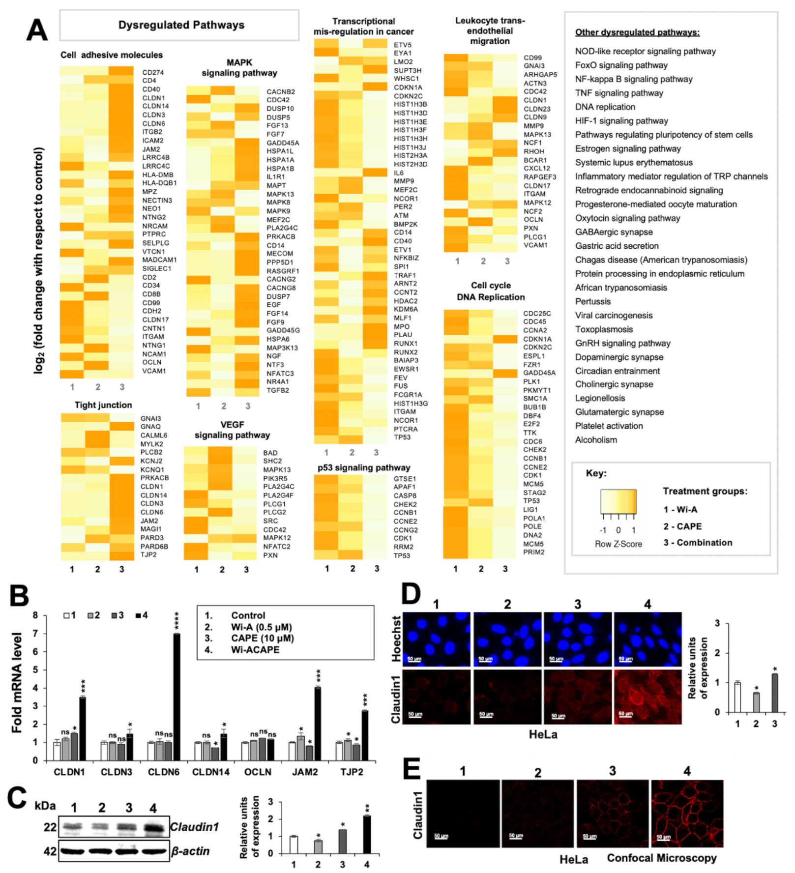 Cancers 14 00787 g002 Cancers 14 00787 g002