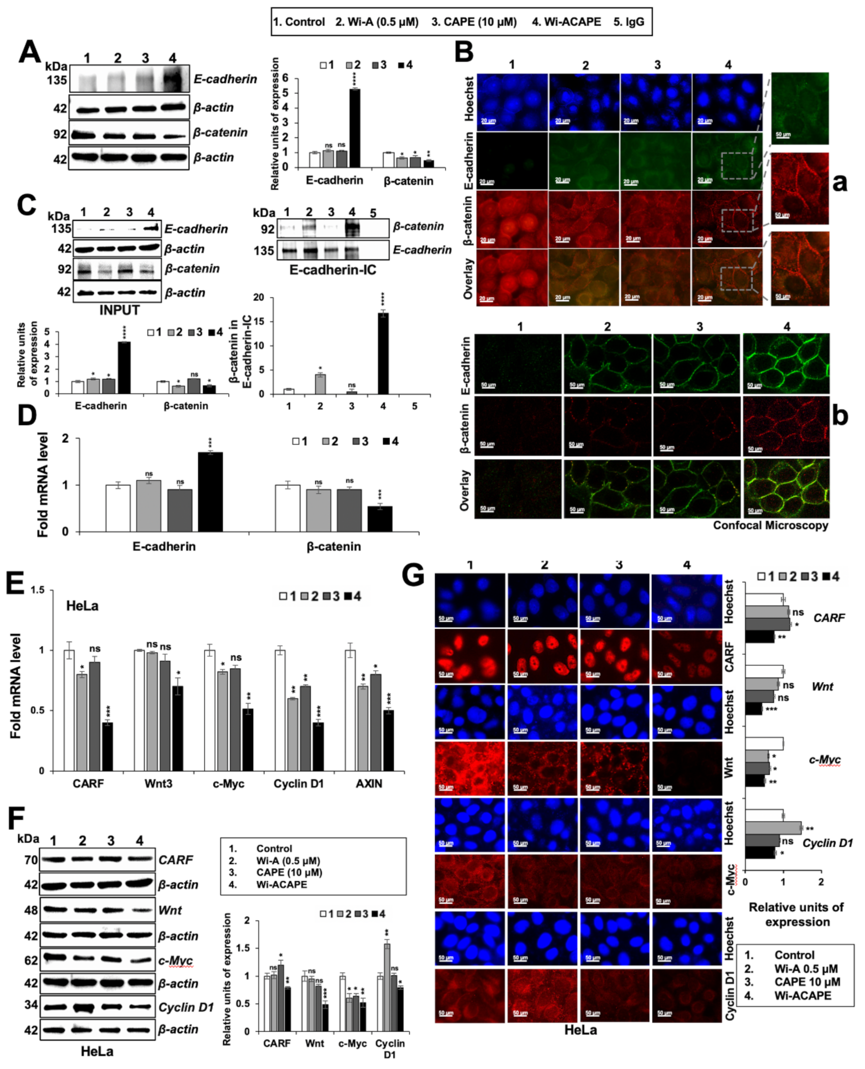 Cancers 14 00787 g003 Cancers 14 00787 g003