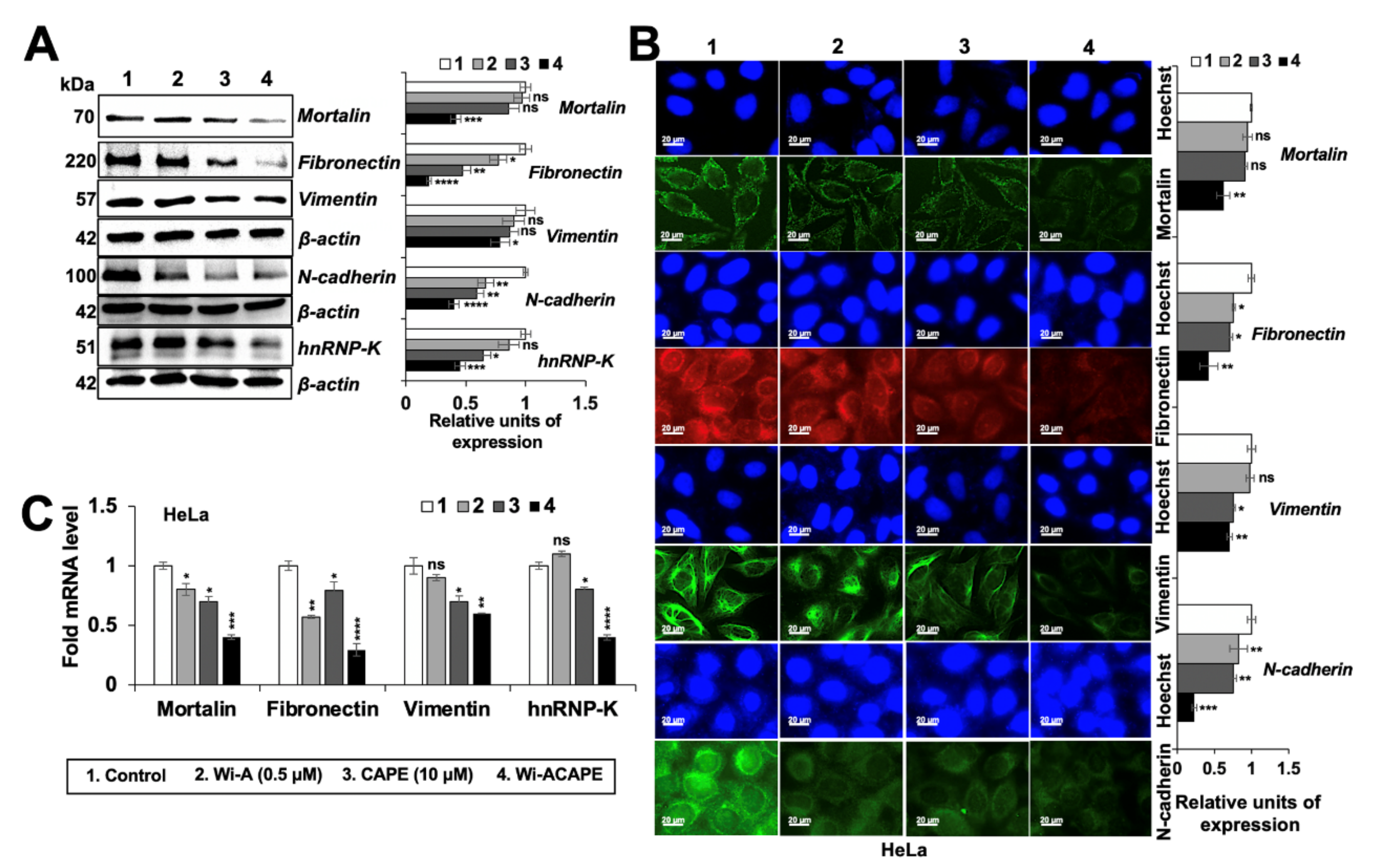 Cancers 14 00787 g004 Cancers 14 00787 g004
